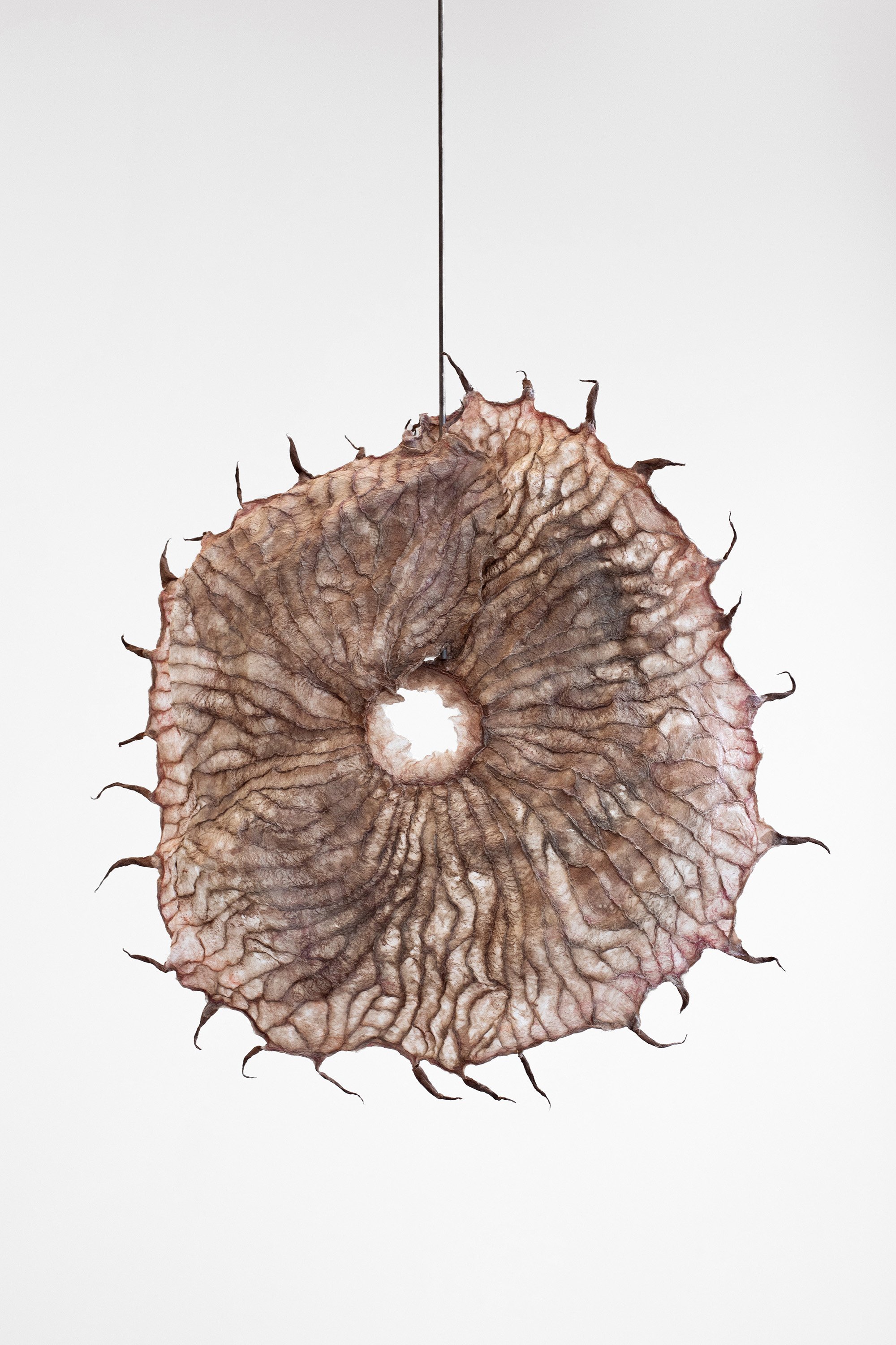 Lunar_Seedling .jpg