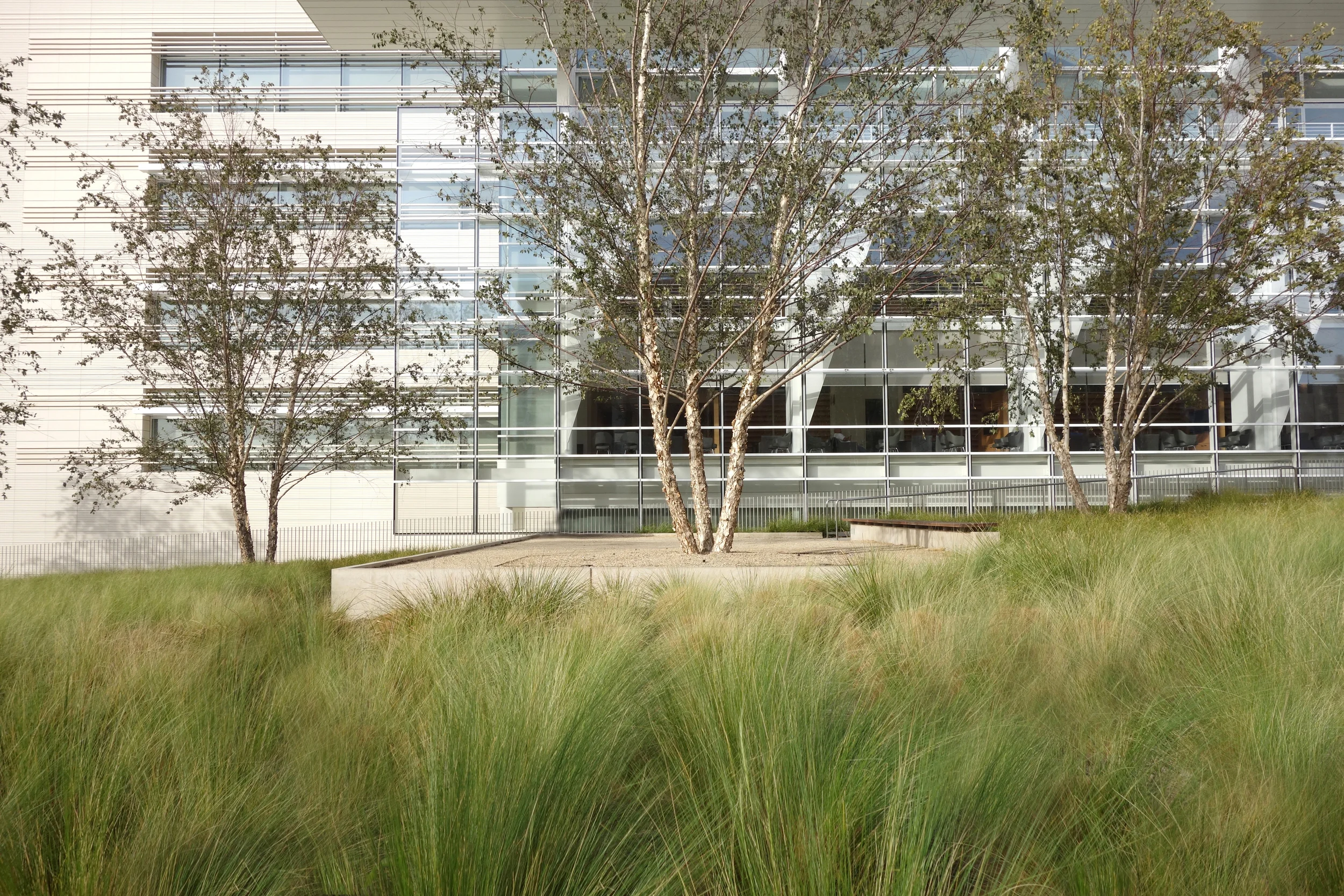 Hats off to Richard Meier & Partners and the rest of the fabulous design team on UCLA’s Edie and Lew Wasserman Building for winning AIA California Chapter’s 2014 Honor Award. The project was selected from over 200 entries by an international jury. Meyer + Silberberg is looking forward to the grand opening this fall of this world class ophthalmological research institute.