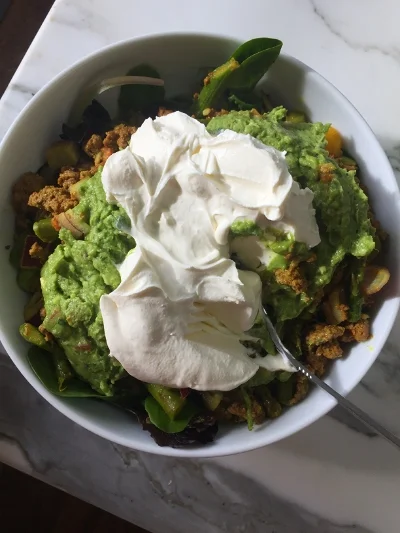 This is a picture of my lunch from day one. Grass fed beef with a ton of veggies, guacamole and some full fat greek yogurt. 