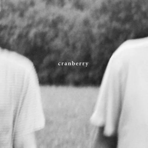 "Cranberry," Hovvdy's second album, is masterfully simple. ( Courtesy photo )