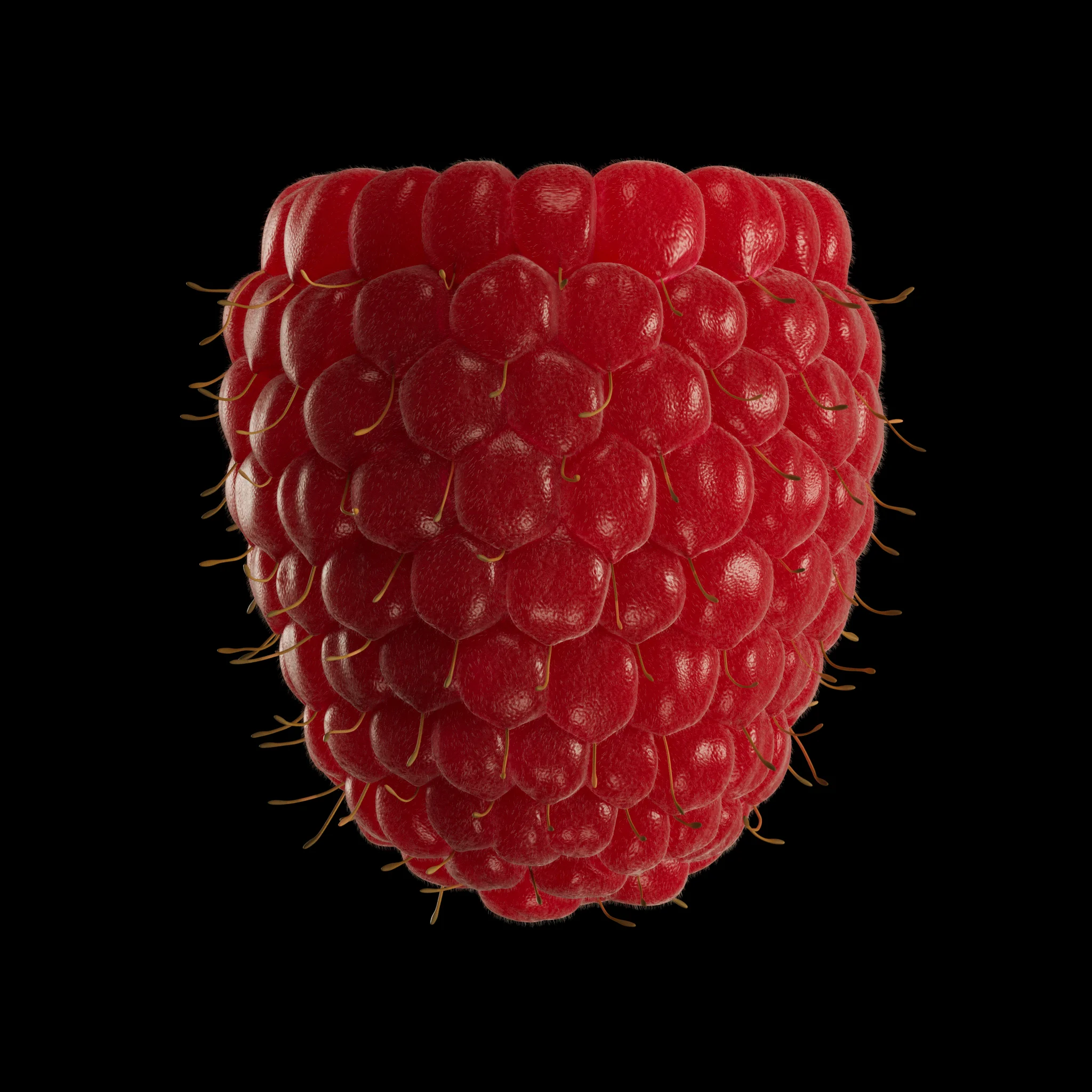 raspberry_front_R.jpg
