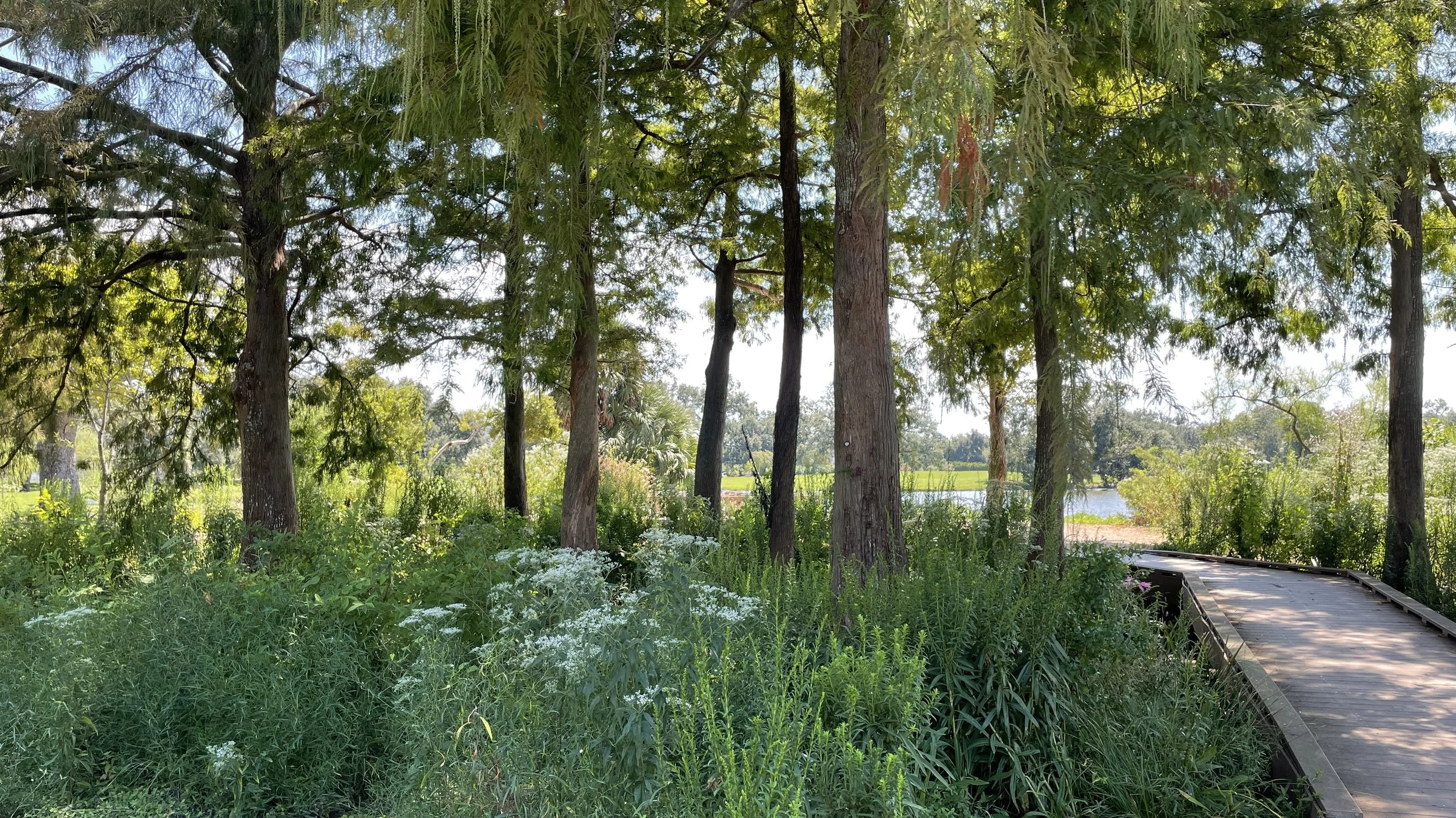 New Orleans Louisiana Visit 1 - HCP - September 19, 2022 - 073.JPG