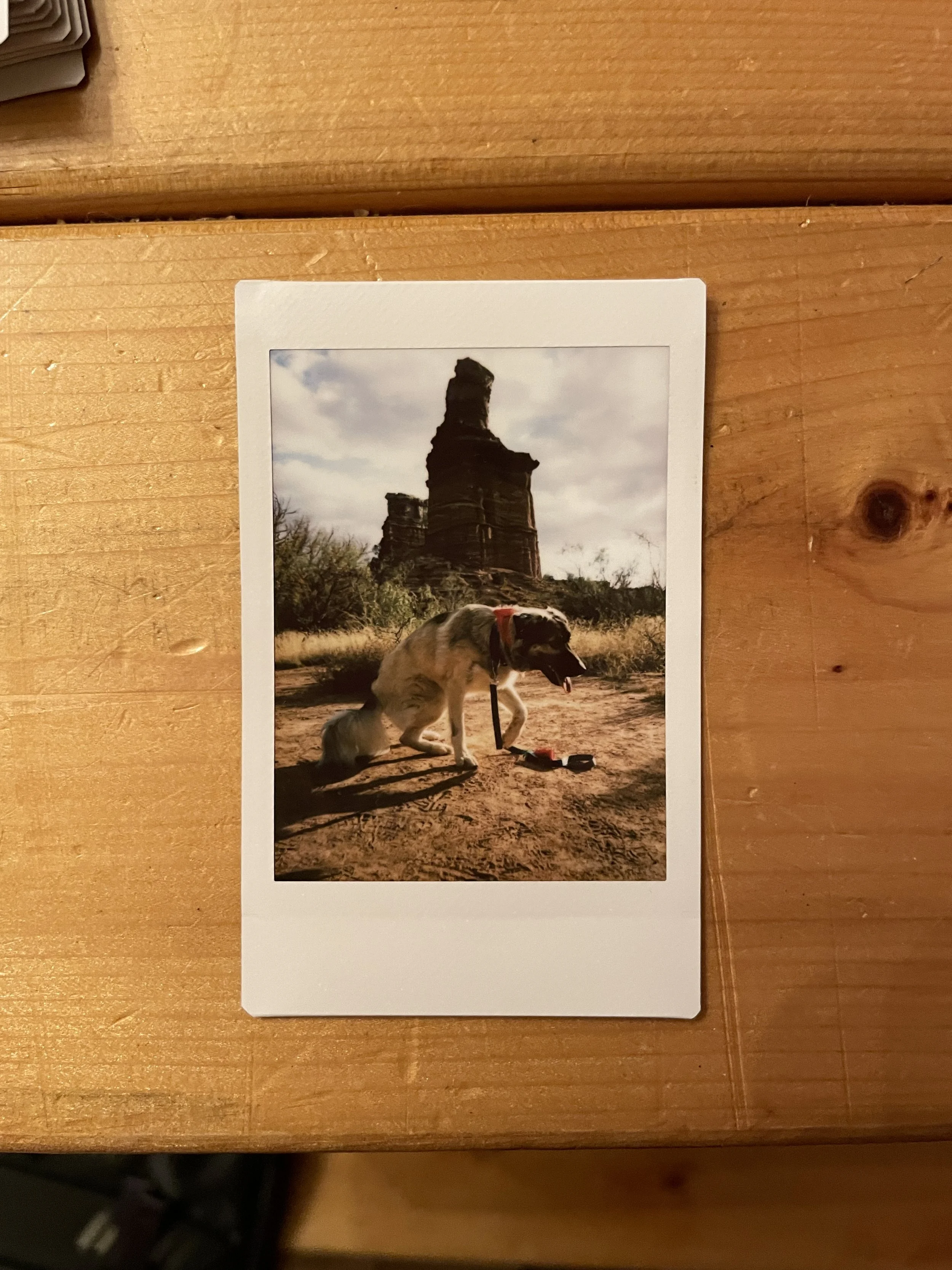 Zeke (Palo Duro State Park in Texas)