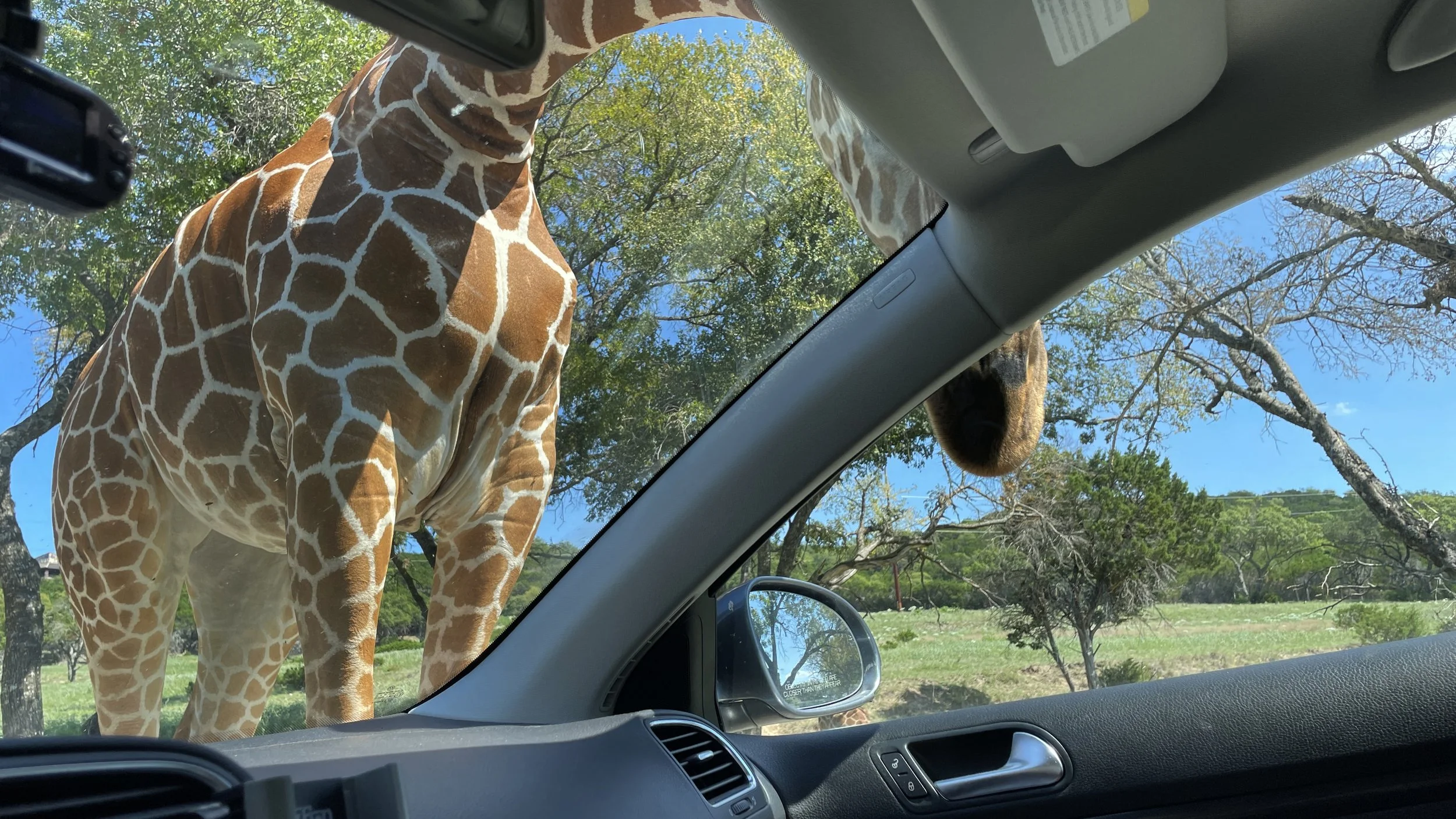 Fossil Rim Wildlife Center in Glen Rose Texas - HCP - September 23, 2022 - 049.JPG