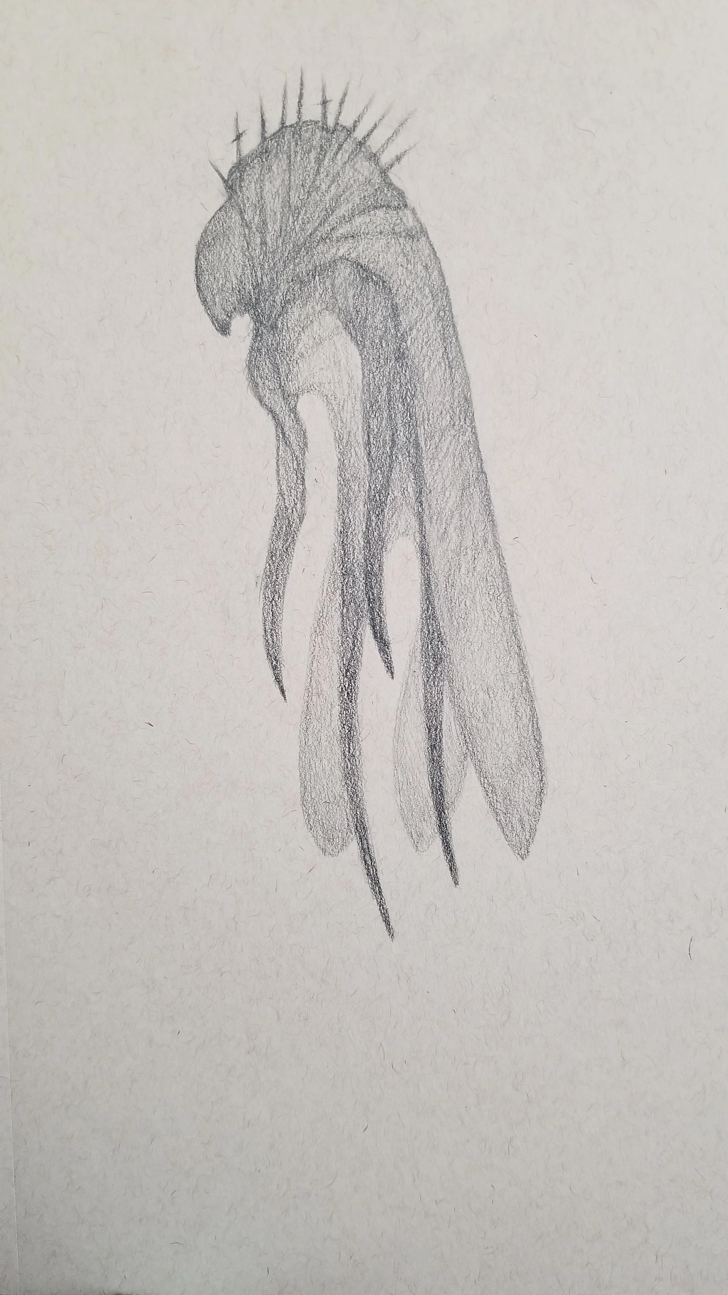 2018-02-18 09.42.21.jpg