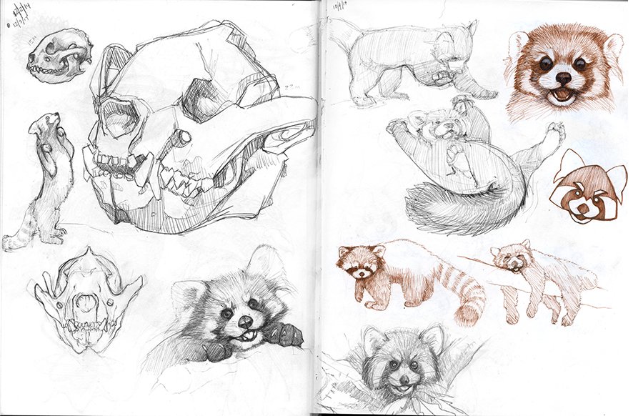 Magic Box Assignment Sketches 1