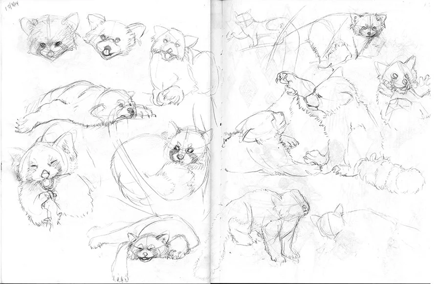 Magic Box Assignment Sketches 2