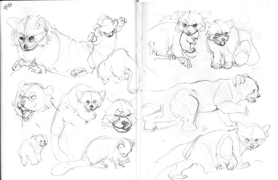 Magic Box Assignment Sketches 4