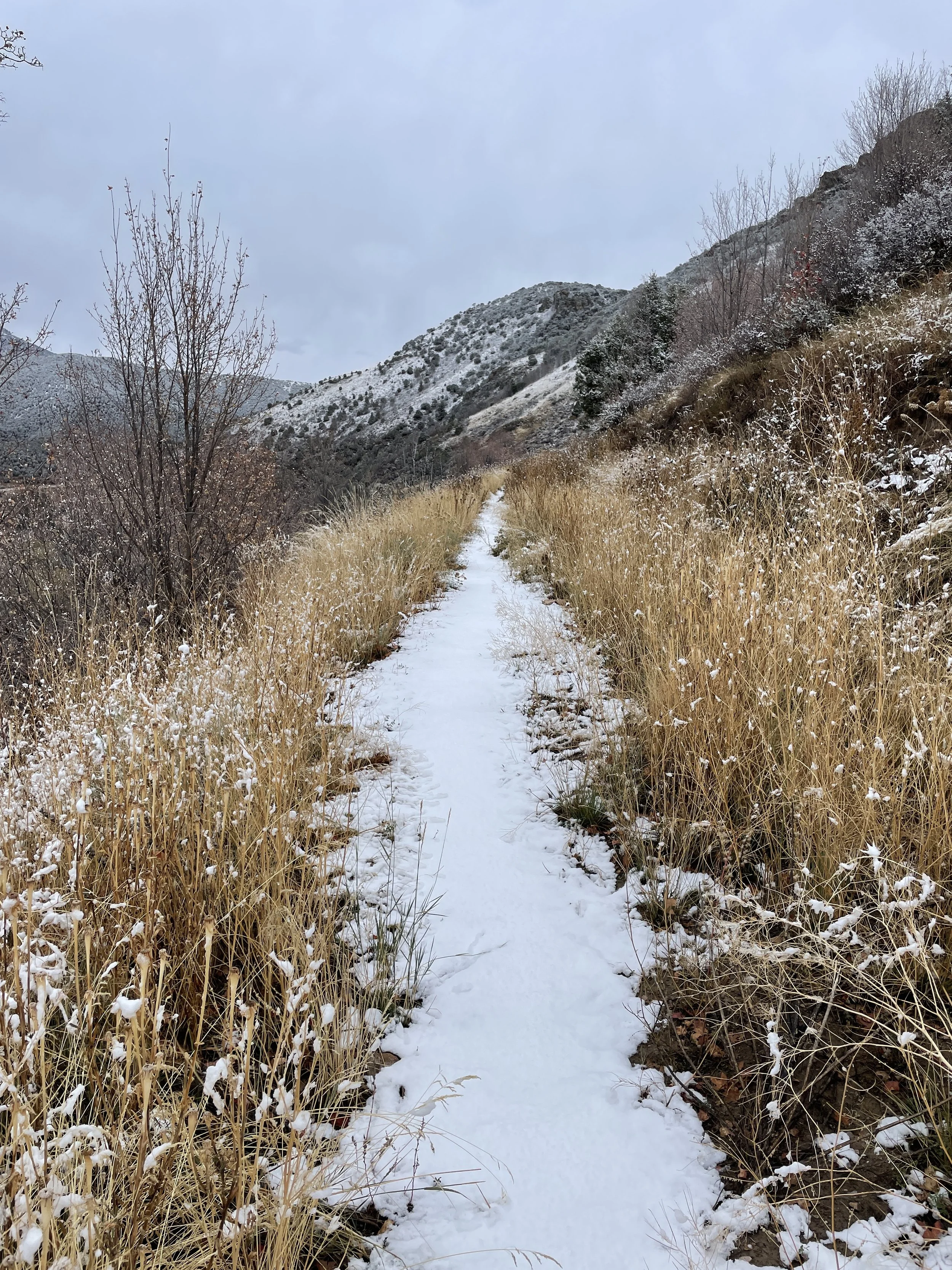 Idaho Centennial Trail in Lava Hot Springs - HCP - November 2, 2022 - 008.JPG