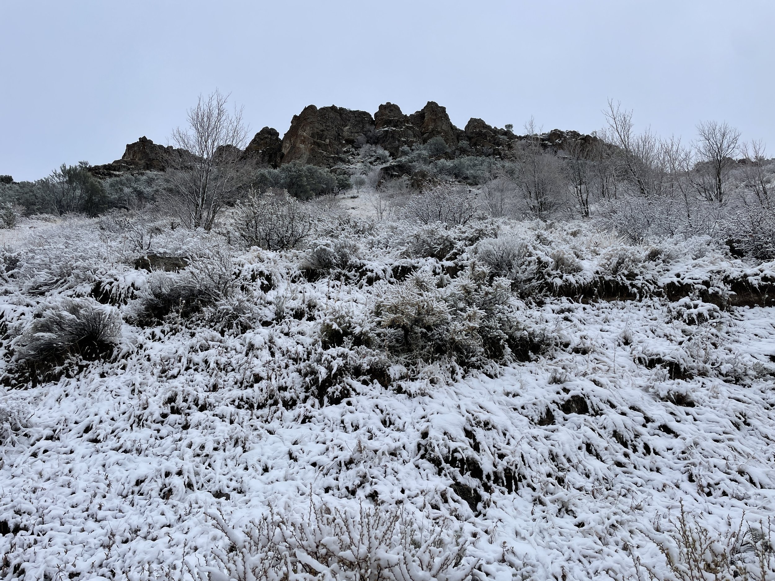 Idaho Centennial Trail in Lava Hot Springs - HCP - November 2, 2022 - 021.JPG