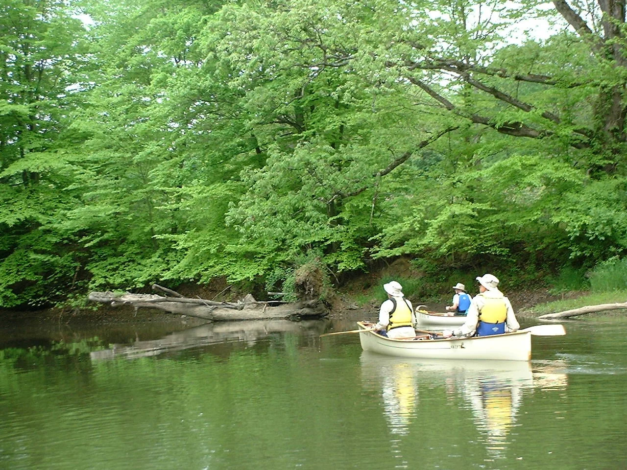 Canoeing north of Mantua.JPG