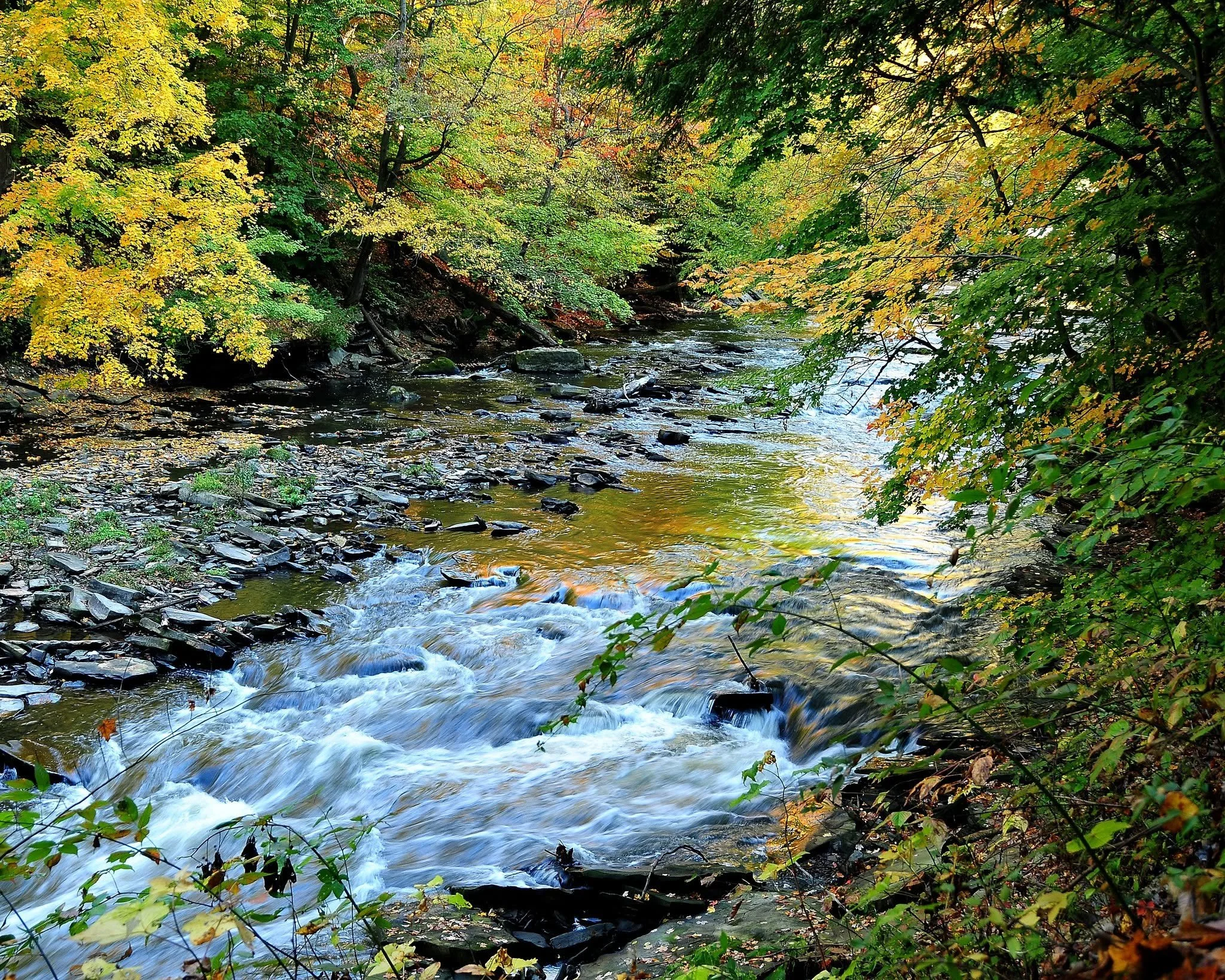 Walk: Along the Little Cuyahoga