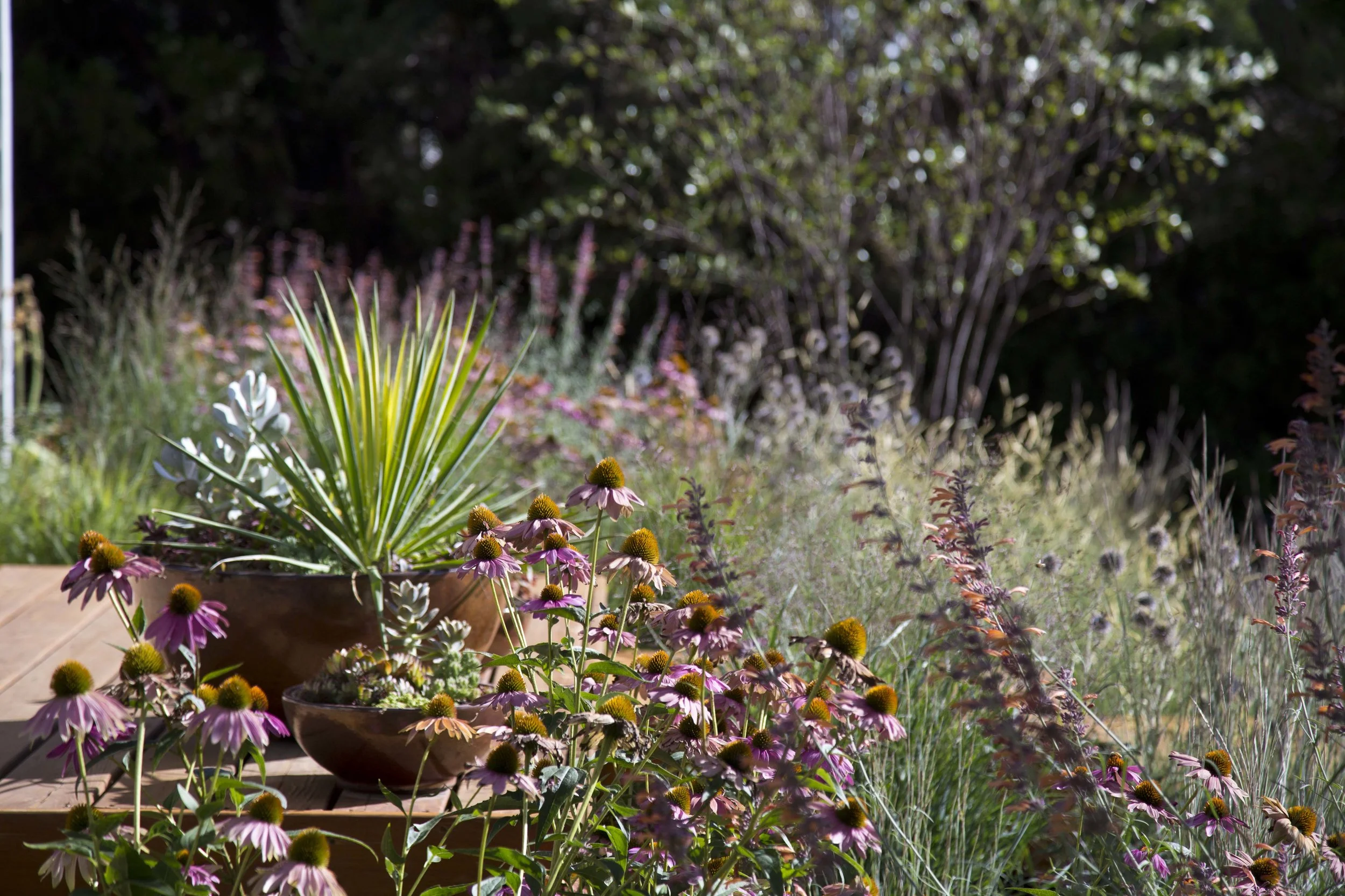 Photo by: Meessmann Photography (www.meessmann-photography.com)