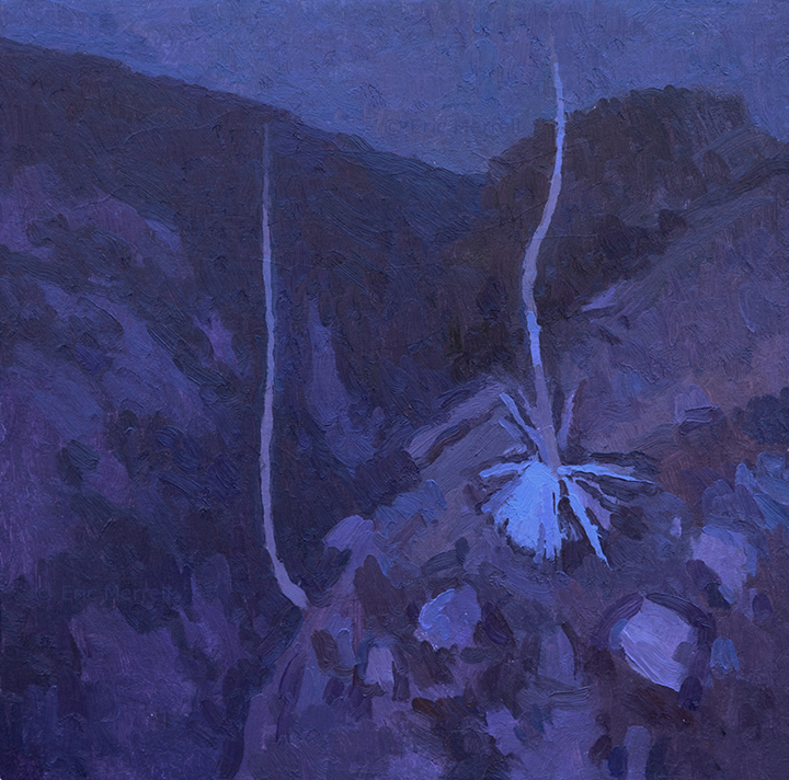 Yuccas in the Moonlight