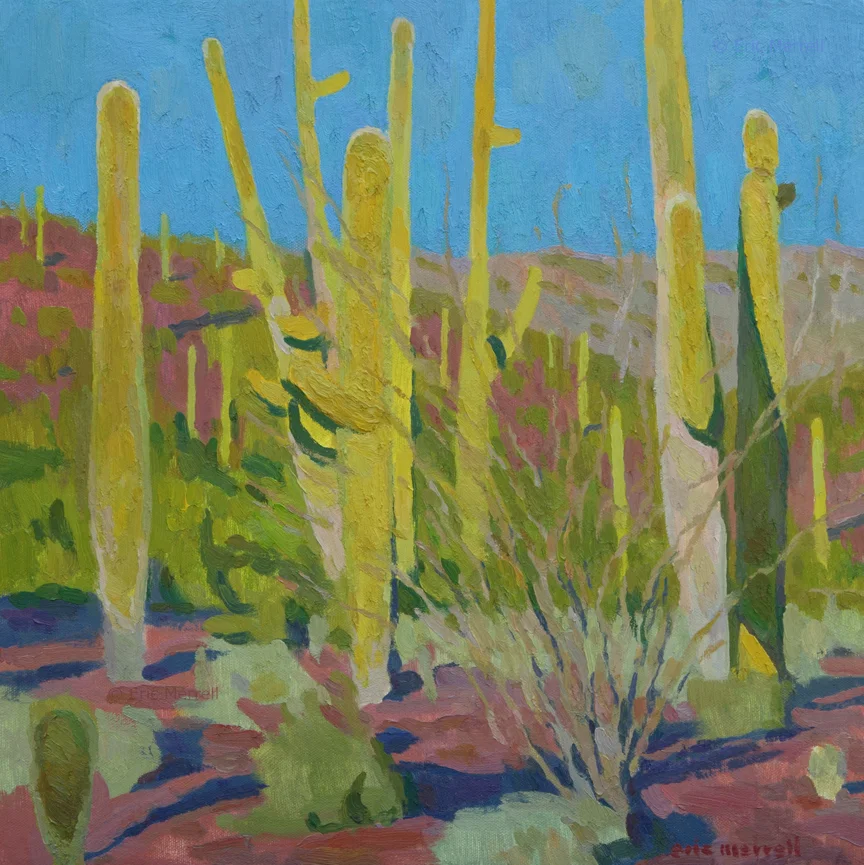 Saguaro Forest