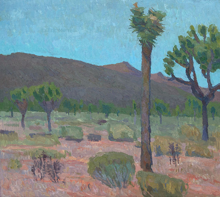 Shimmering Desert