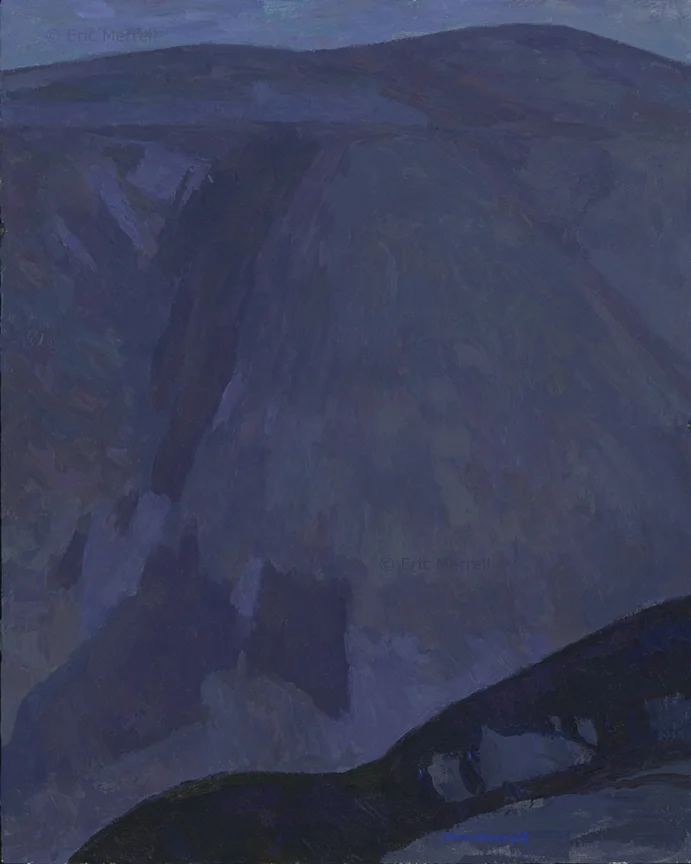 Owl in the Canyon