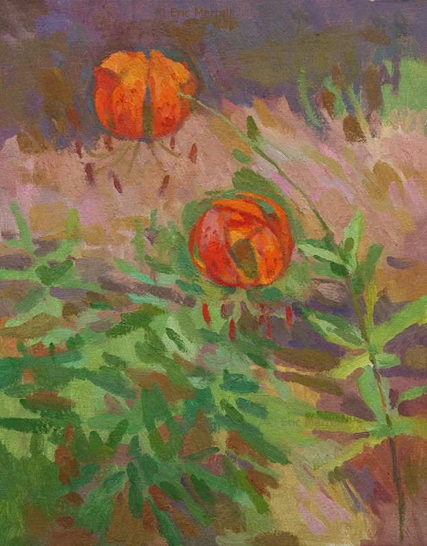 Humboldt Lilies