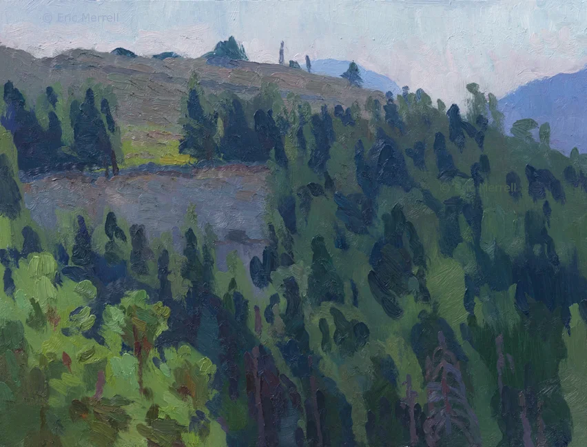 Verdant Hillsides