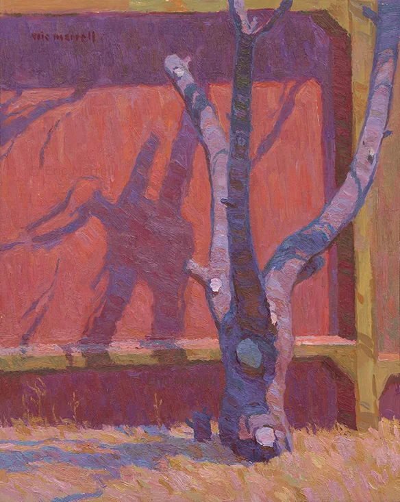 The Old Apricot Tree