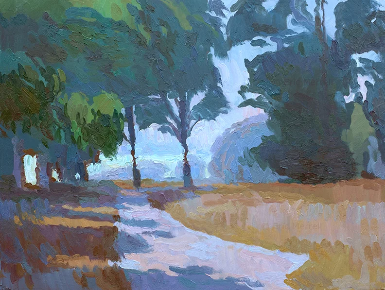 Coastal Walk