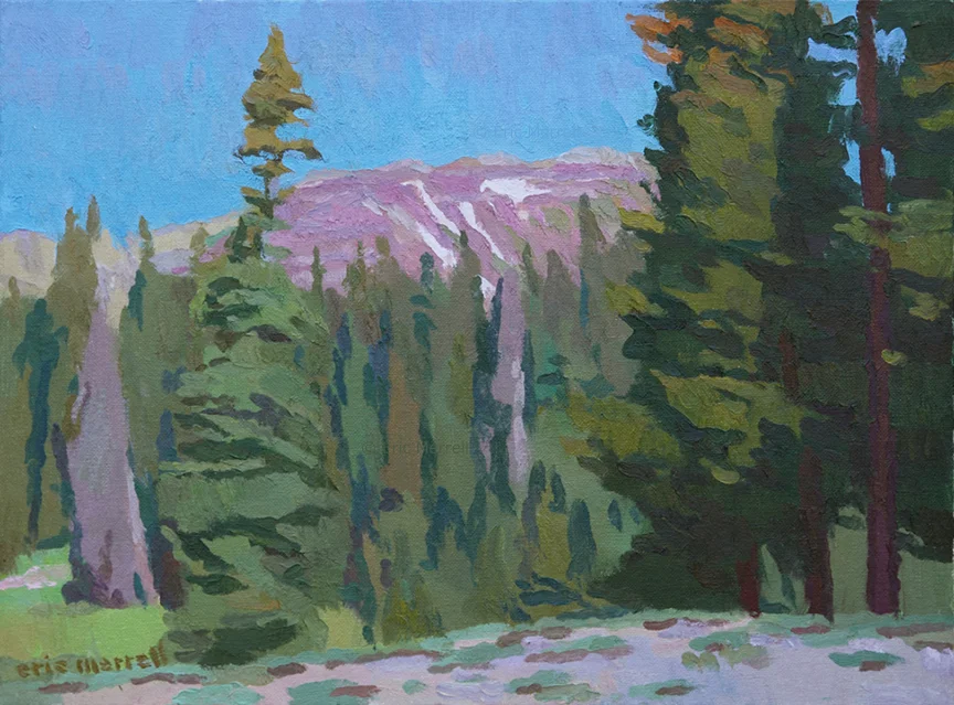Snowmelt Near Ruby Peak (CO)