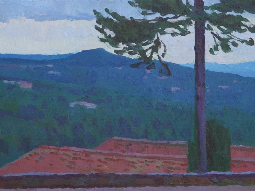 Provencal Rooftops, Seillans