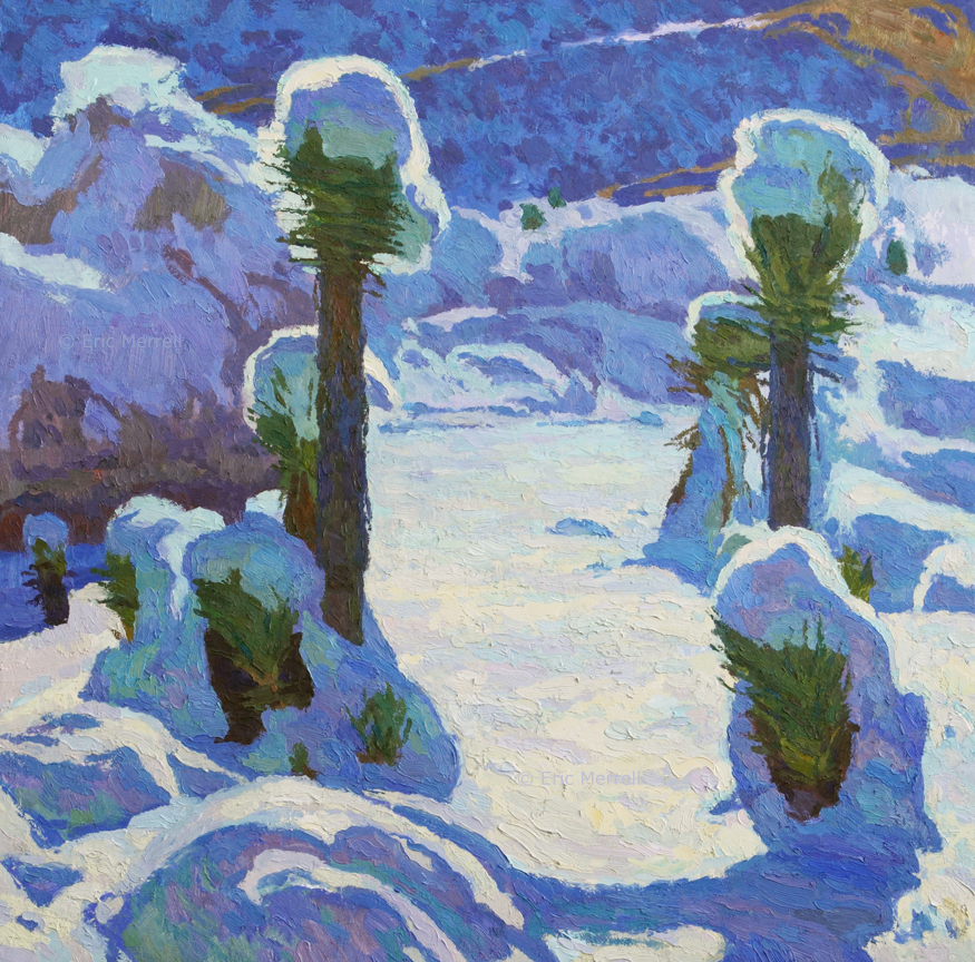 Joshua Trees in the Snow