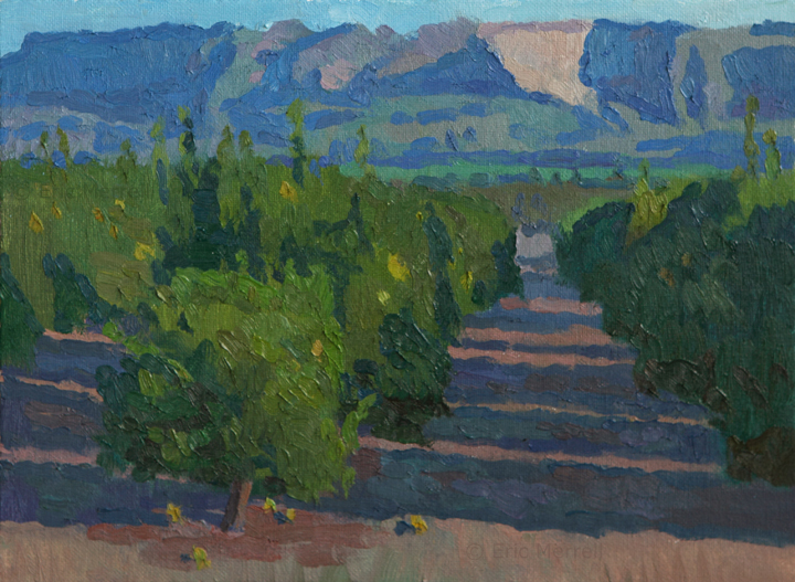 Fillmore Orange Groves