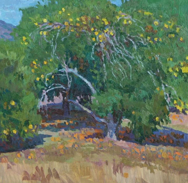 The Old Orange Tree