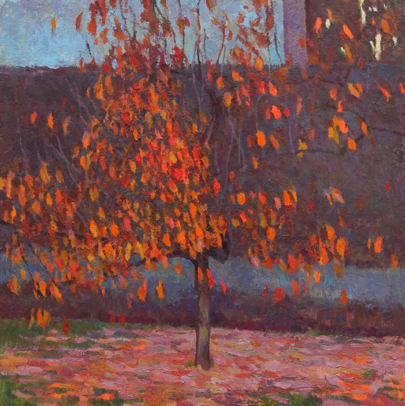 The Persimmon Tree
