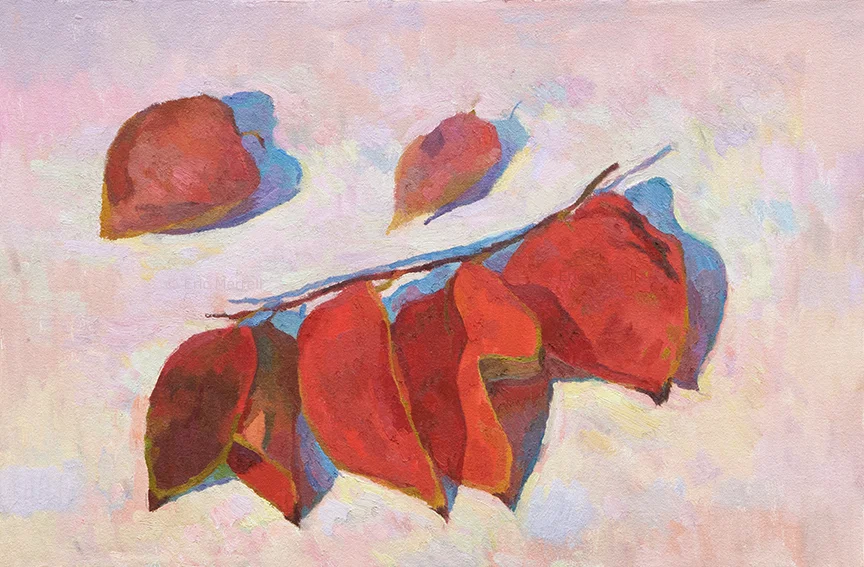 Fading Persimmon Leaves