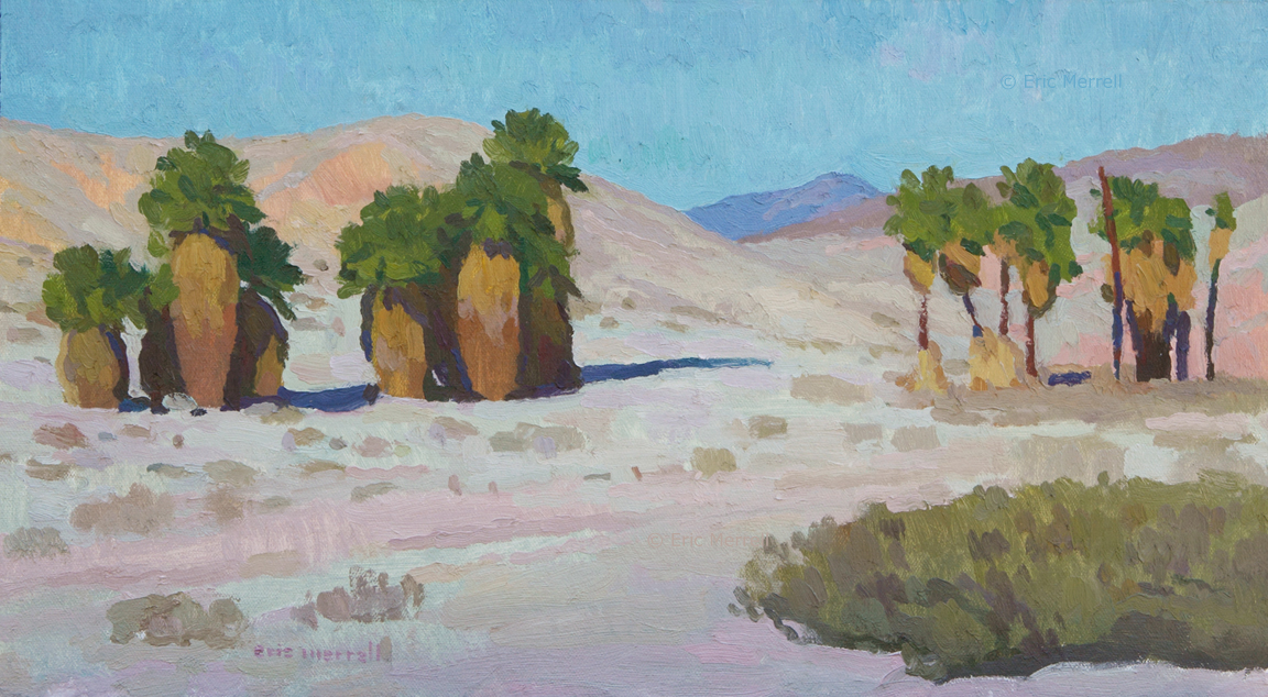 17 Palms