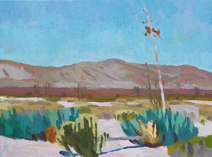 Single Agave Stalk, Anza-Borrego