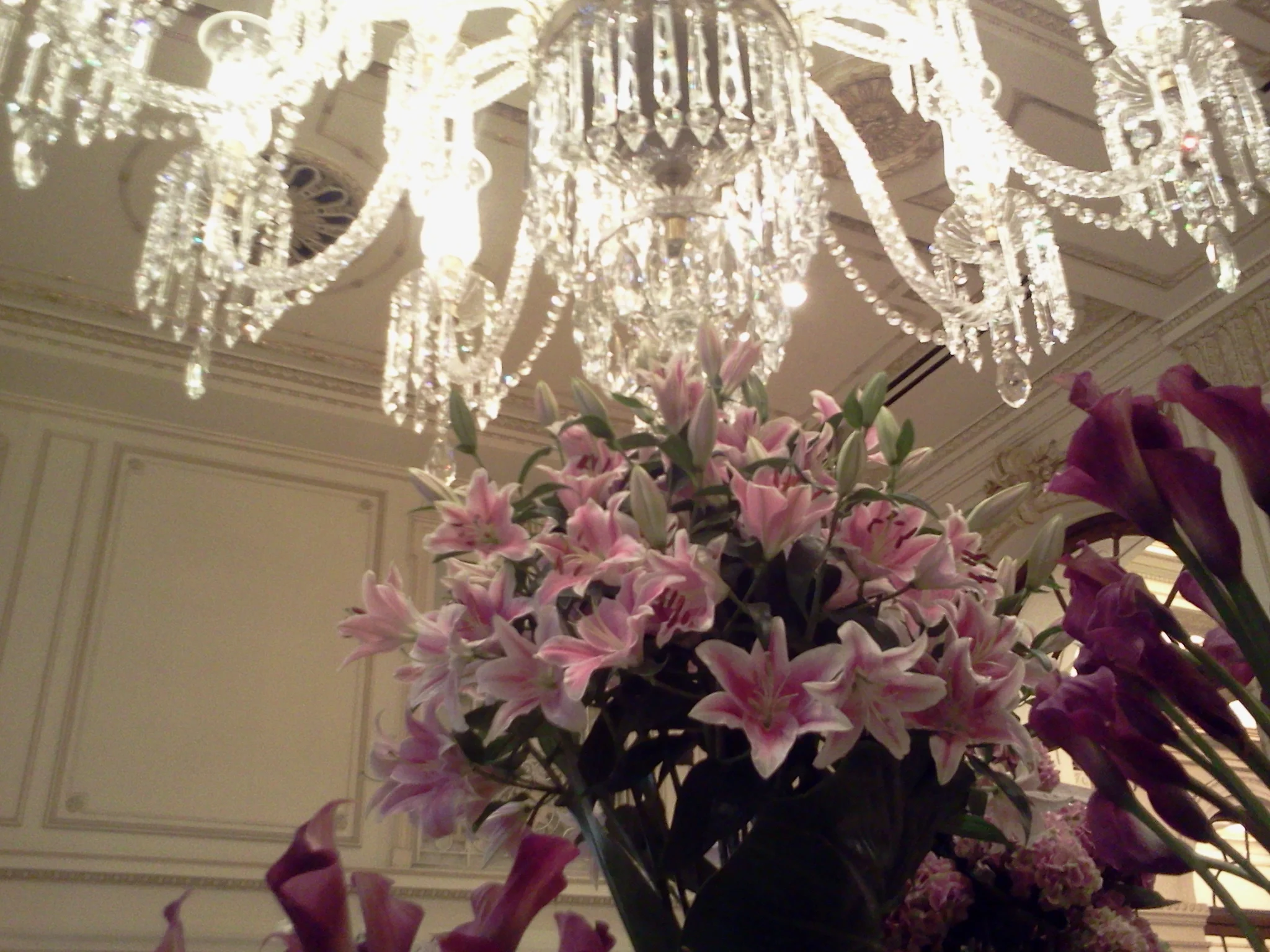 2012-08-06 10.27.38.jpg