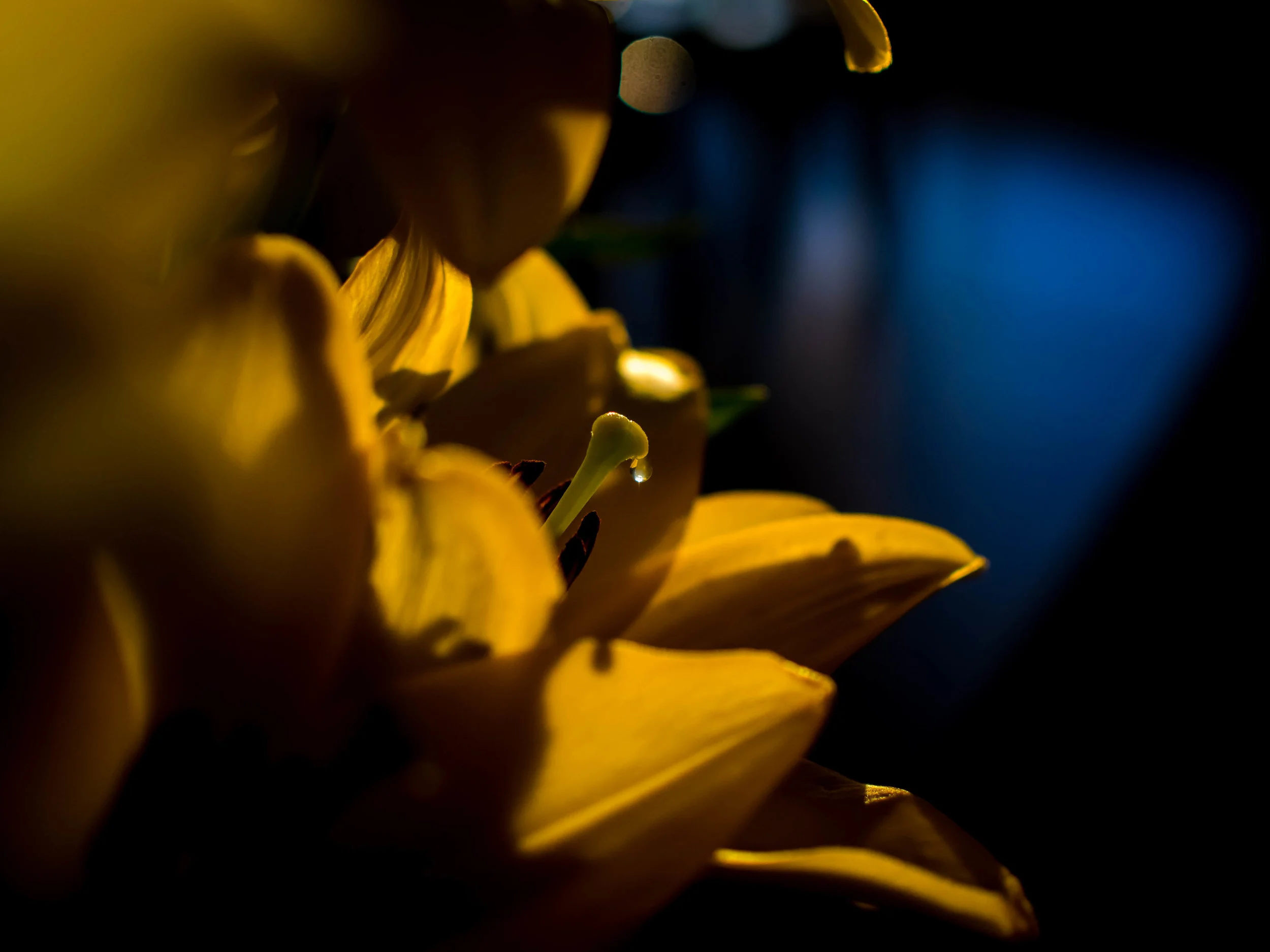 Panasonic 20mm f1.7