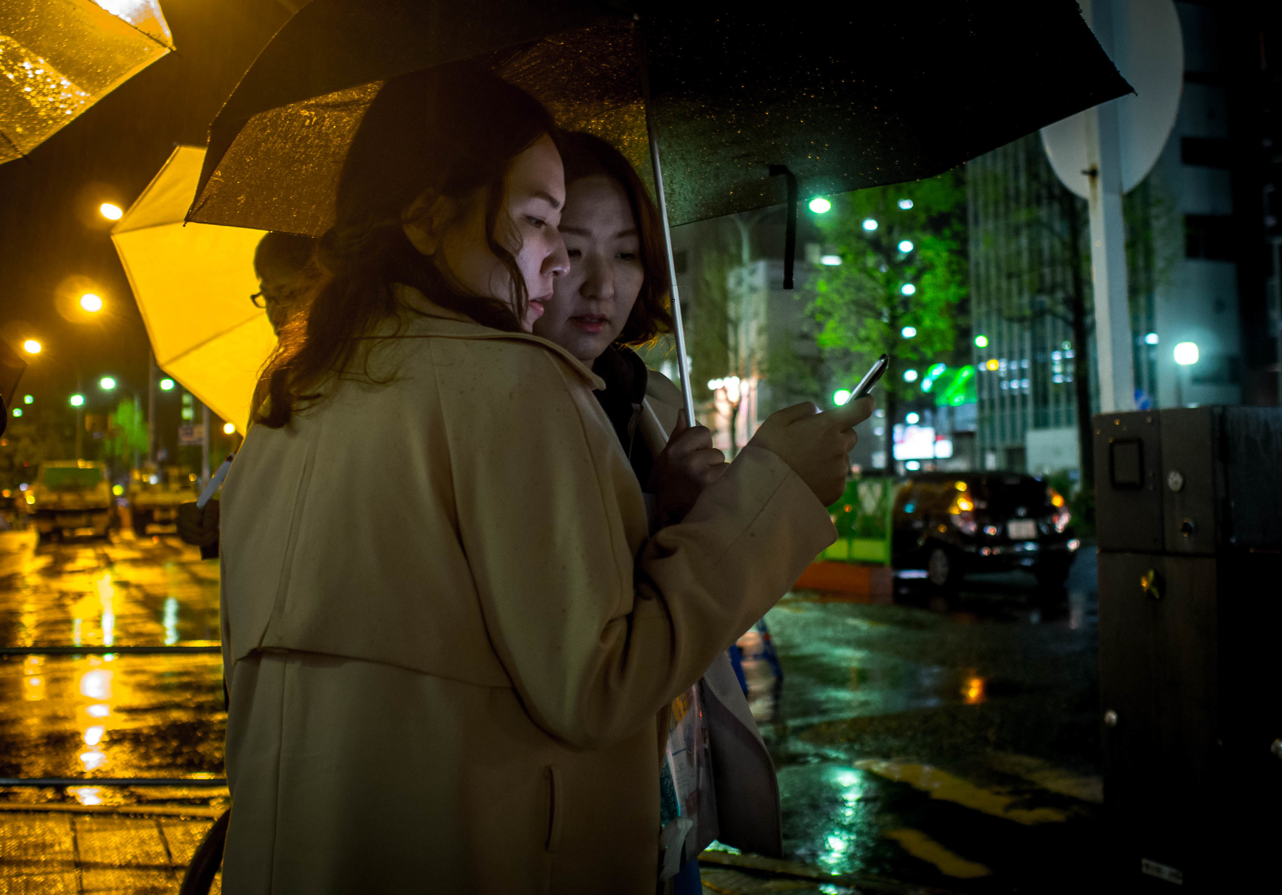 Gold and Green Kyoto Japan. OMD 17 f1.8