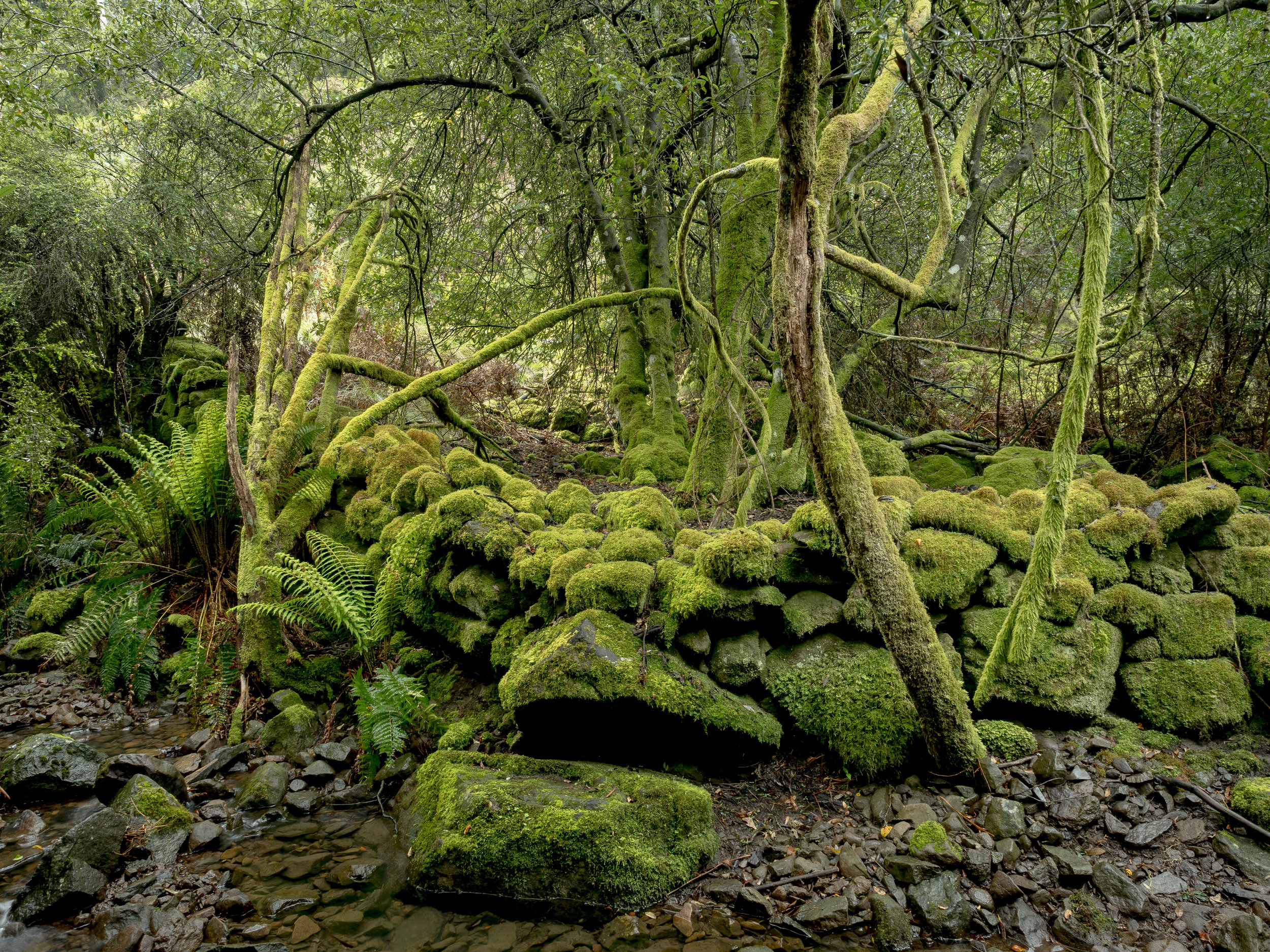 untitled-160045.jpg