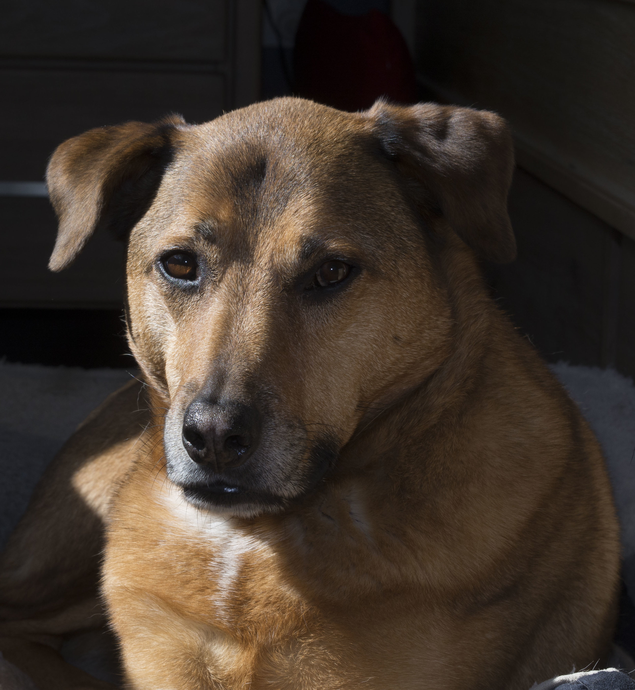 untitled-2120115-2.jpg