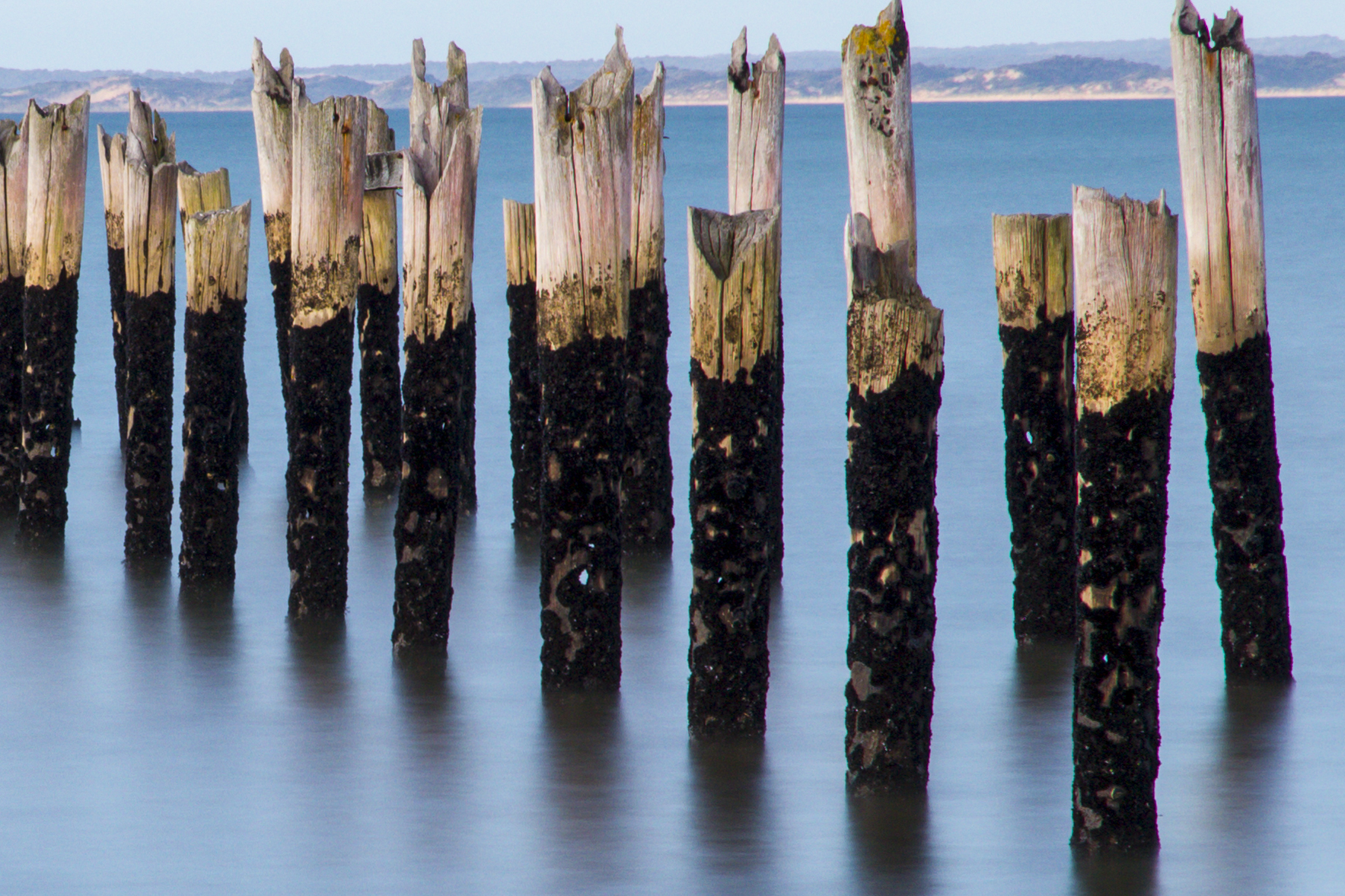 A crop of the above.