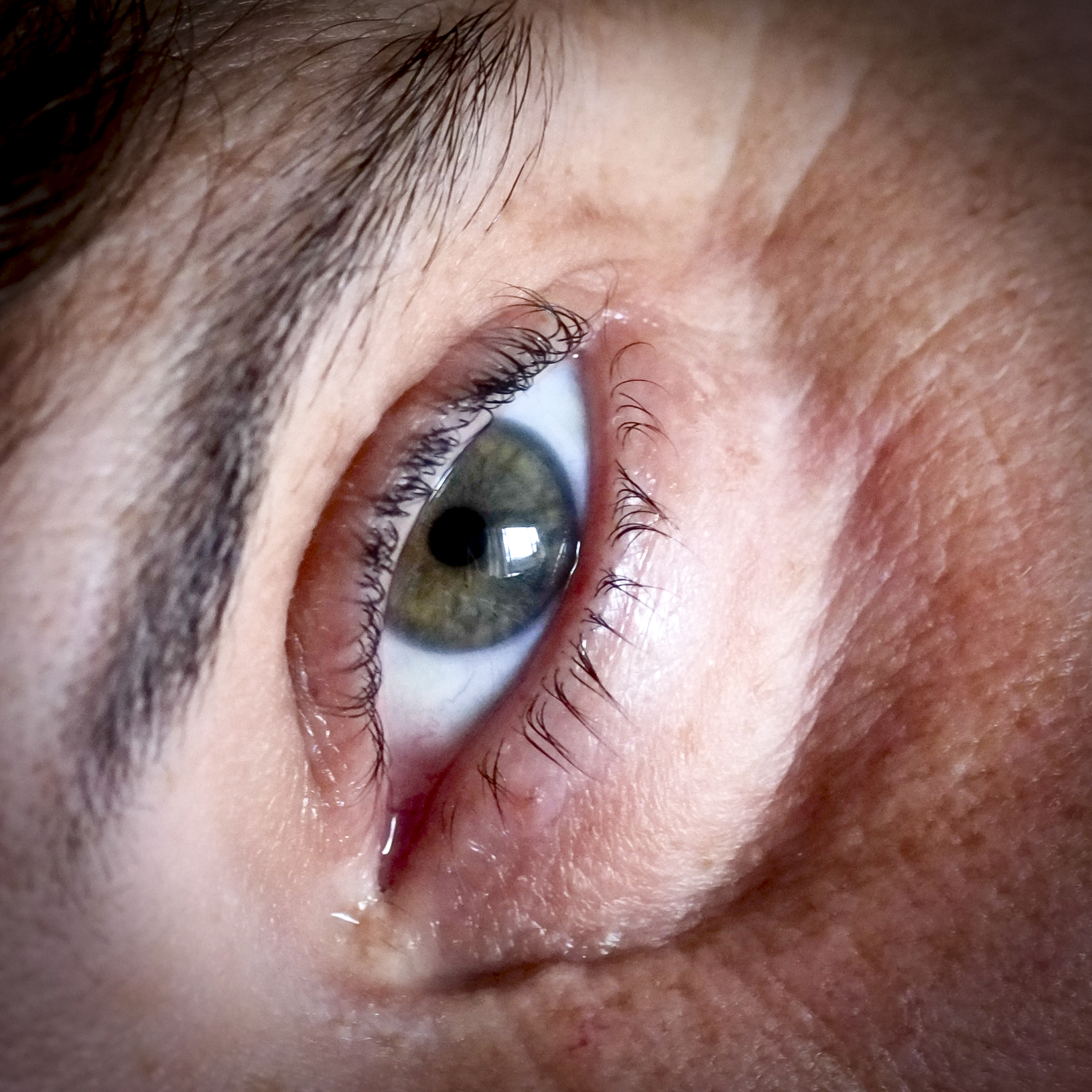 A similar crop of the same eye as above taken with a Fuji in jpeg mode and the 60mm macro wide open (different light though).