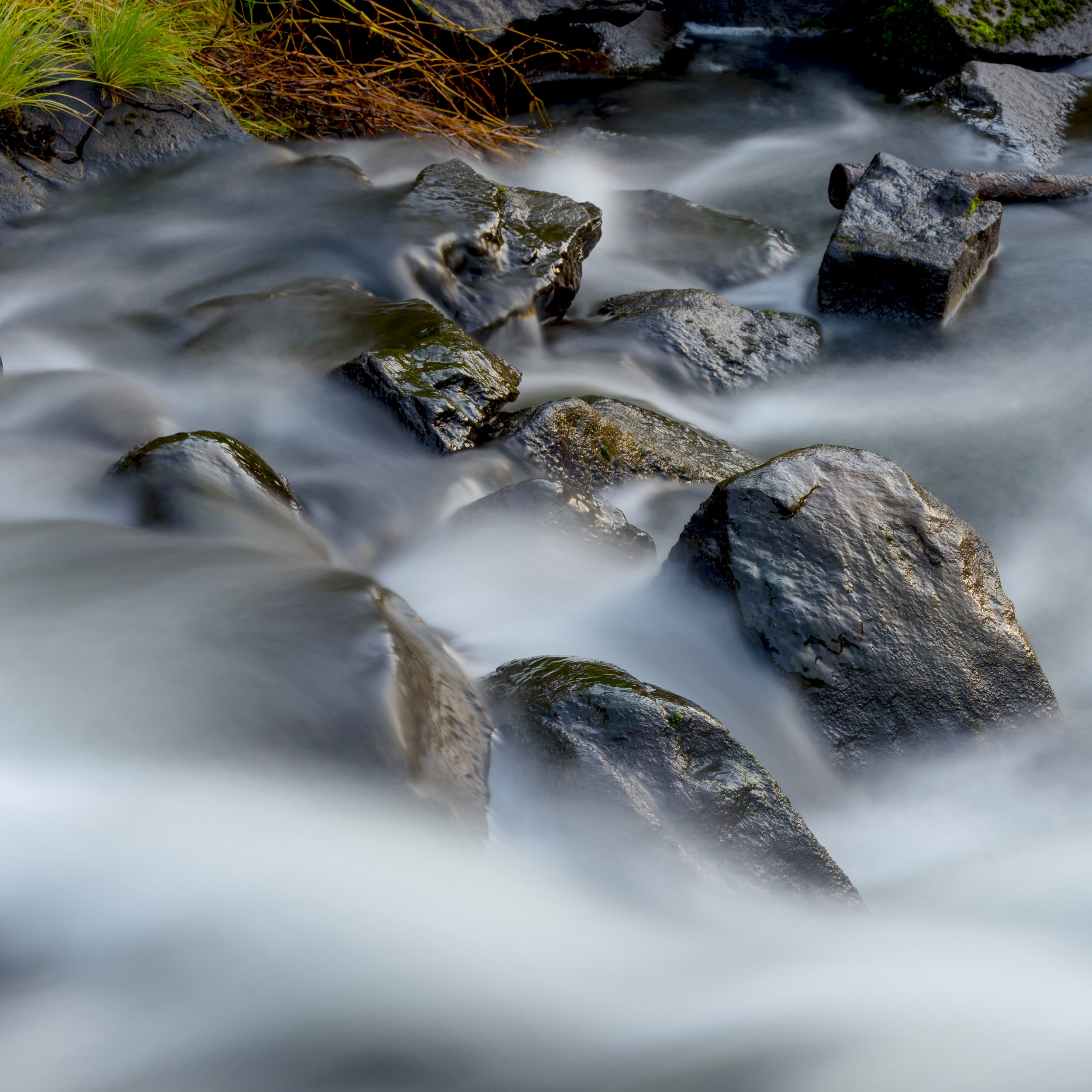 Taken a few minutes before, in less brilliant light.