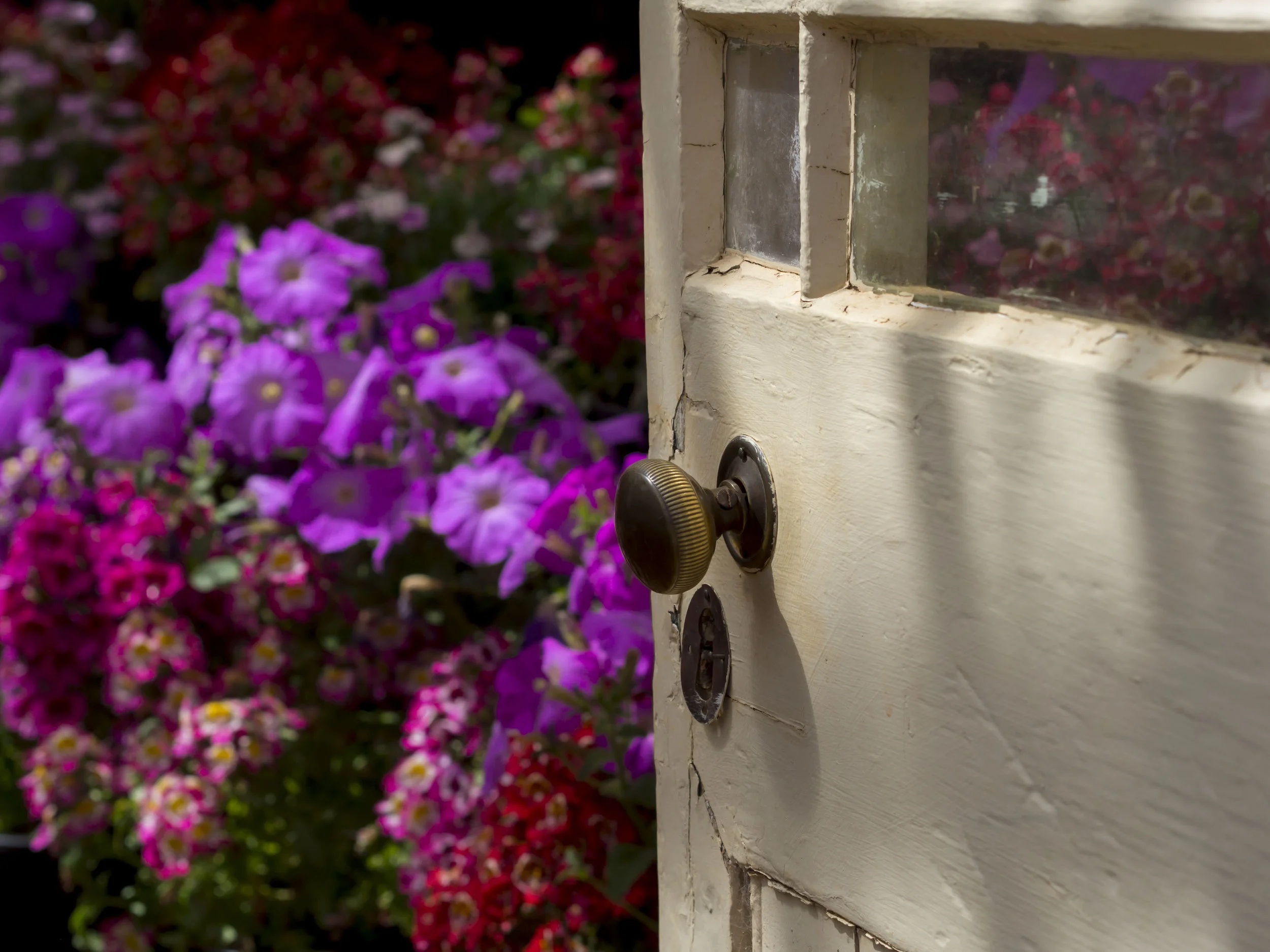 The potting shed door. 
