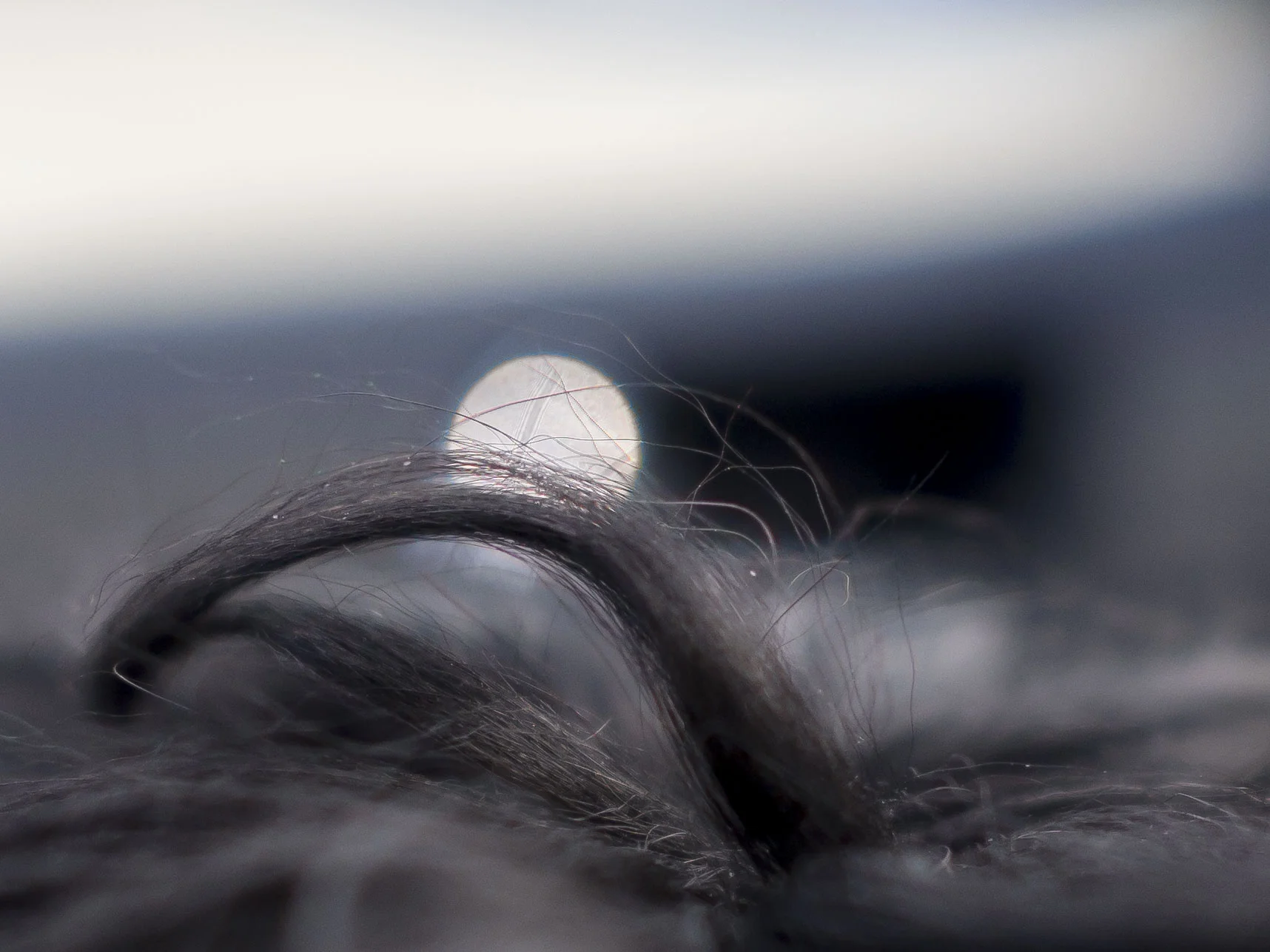 After a Lightroom pre-set called "L2 25mm wide open" (go figure)