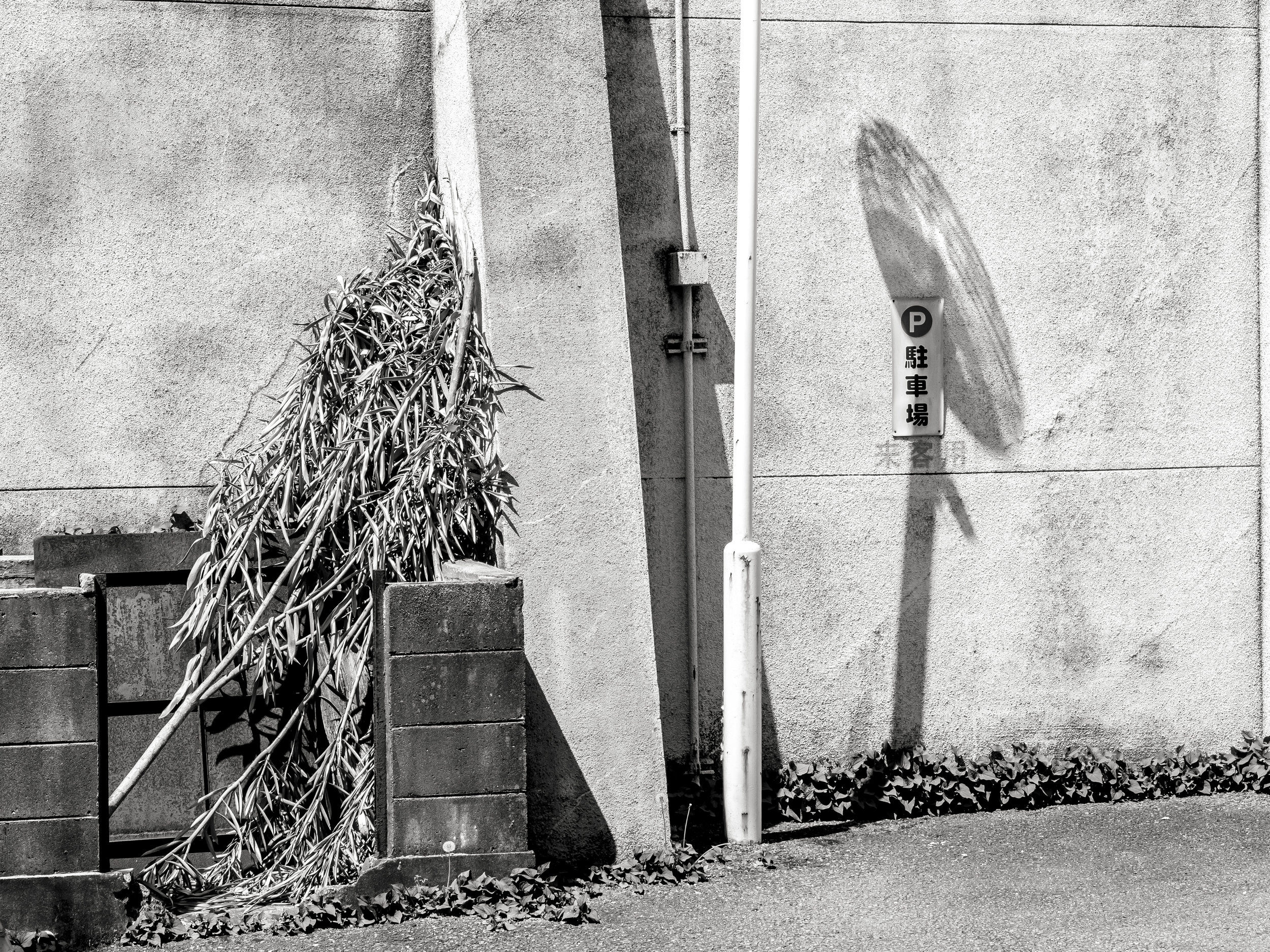 An example of an image crying out to be made mono-tonal