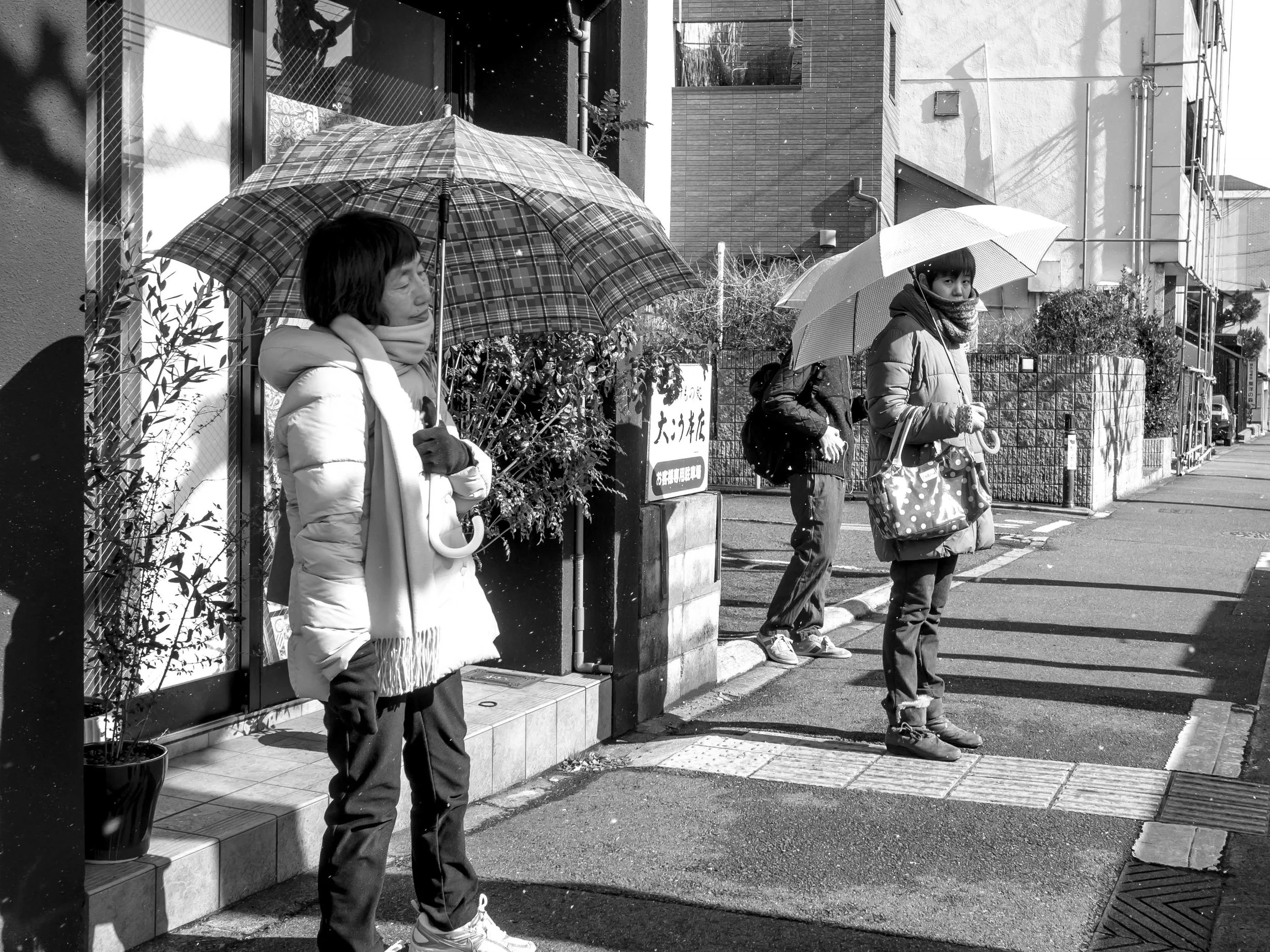 untitled-1250994.jpg