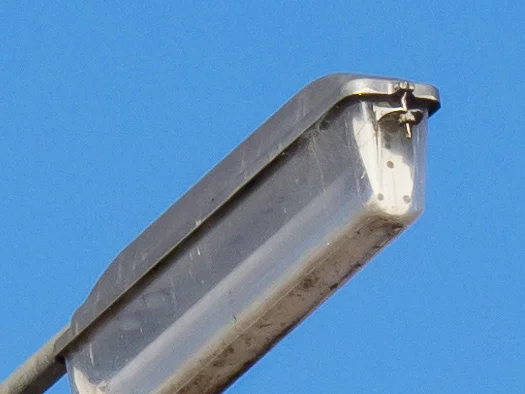 Central detail at 100mm f4.5