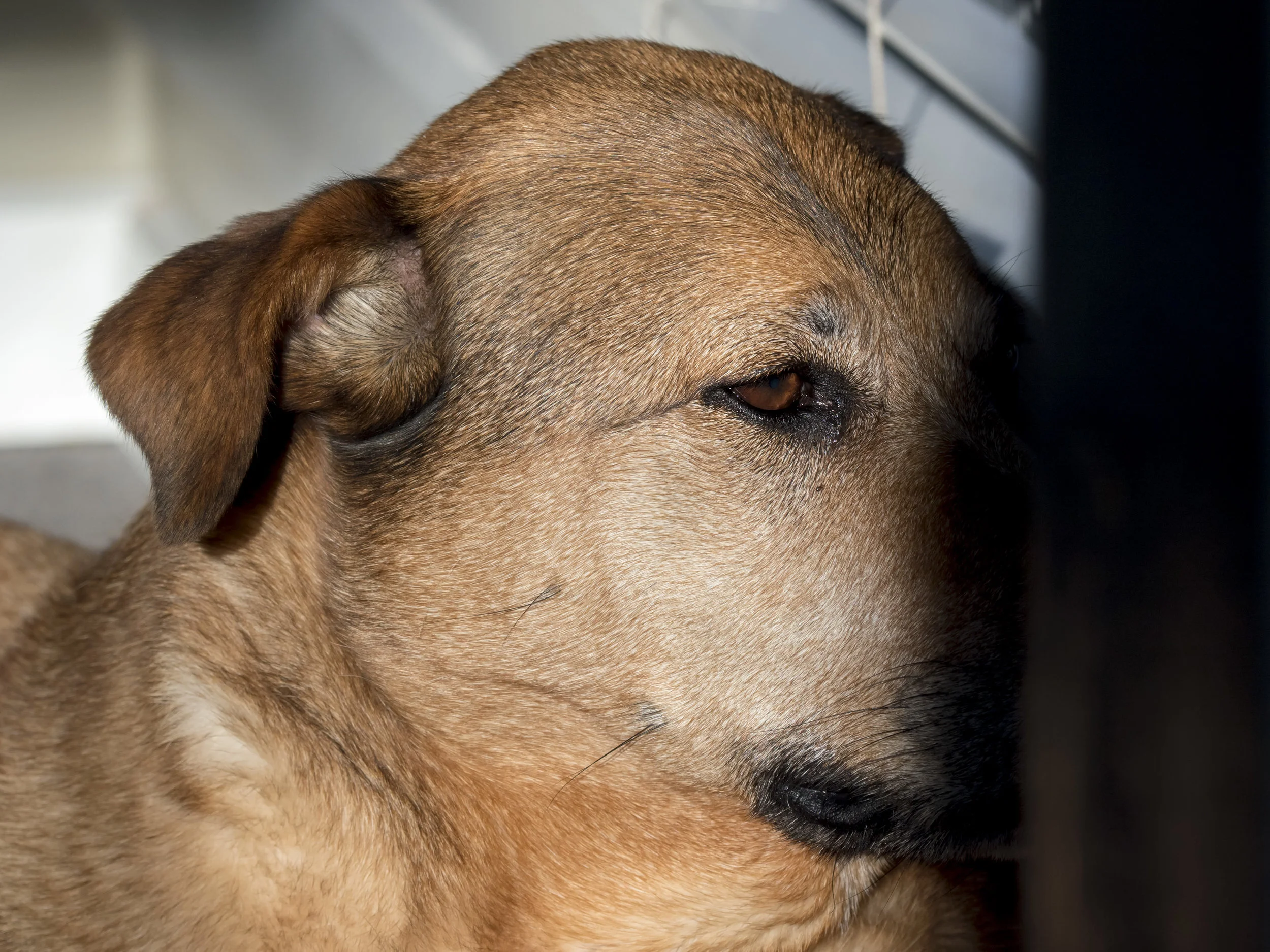 Well known subject. 100mm f5.6