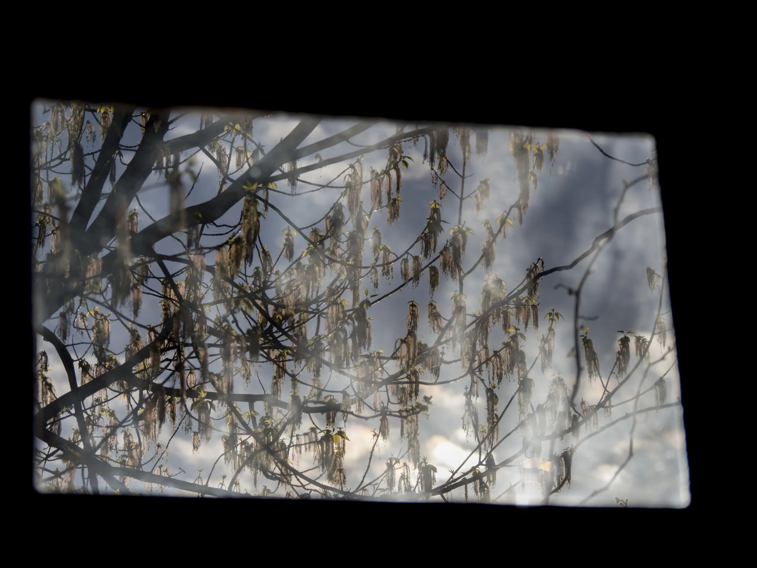 The original file is mostly flare (the sun is just out of frame on the lower right side)