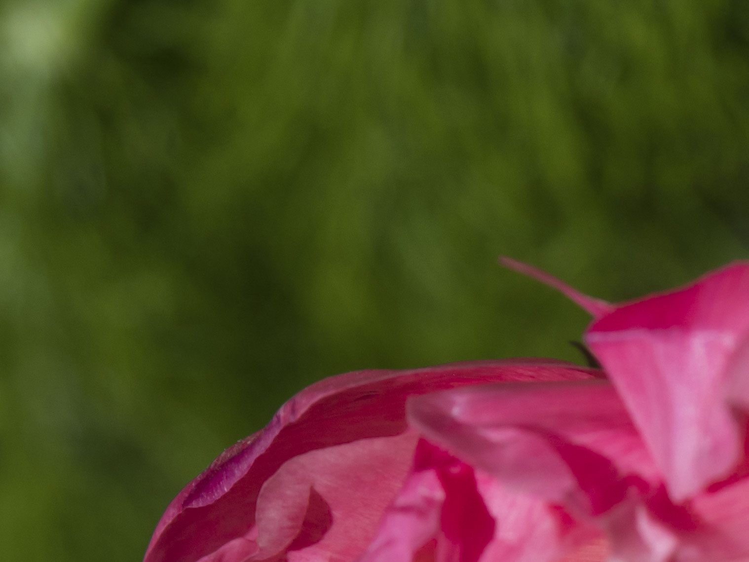 untitled-110012-3.jpg